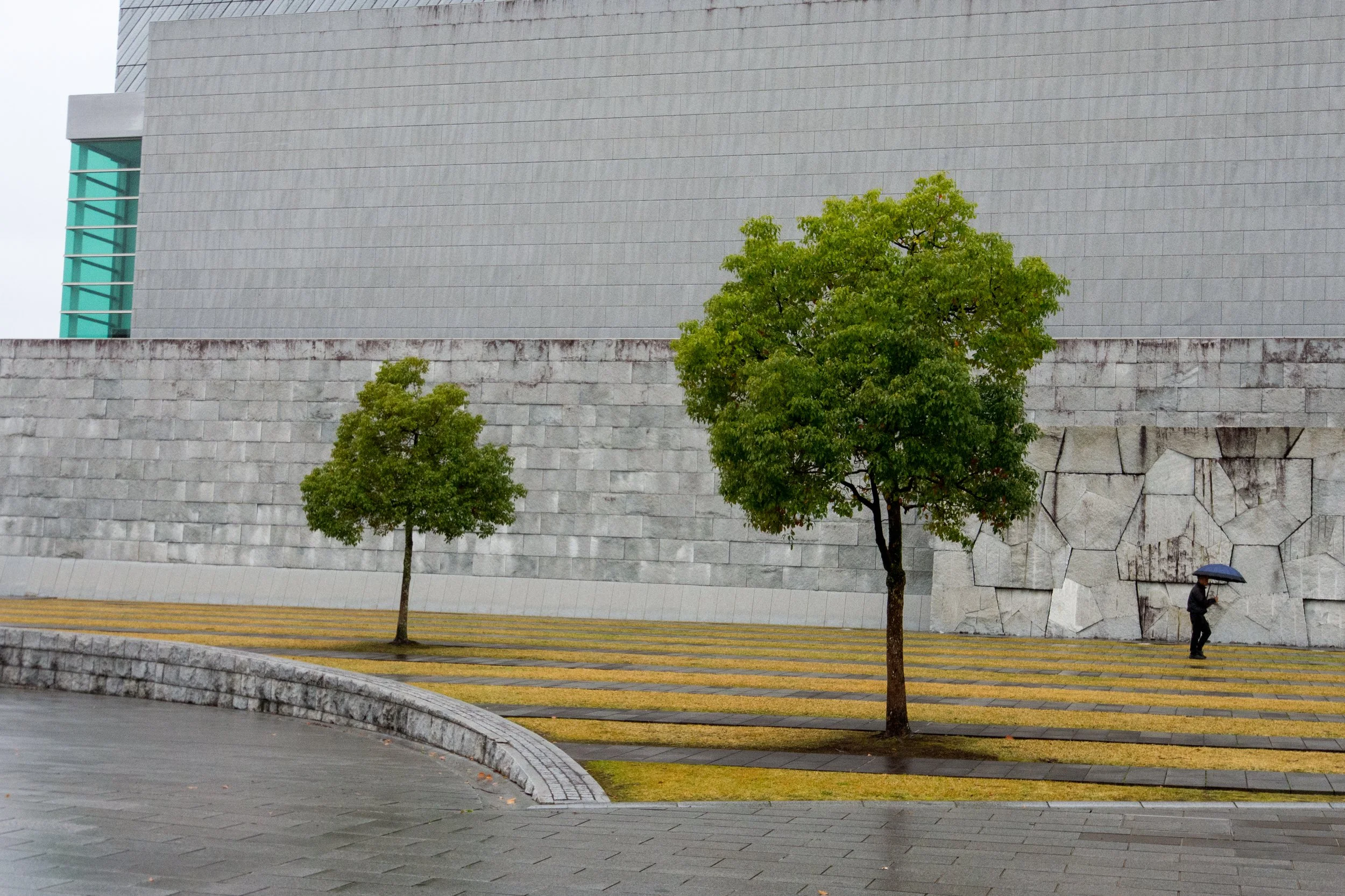 DSC_3986.b..jpg