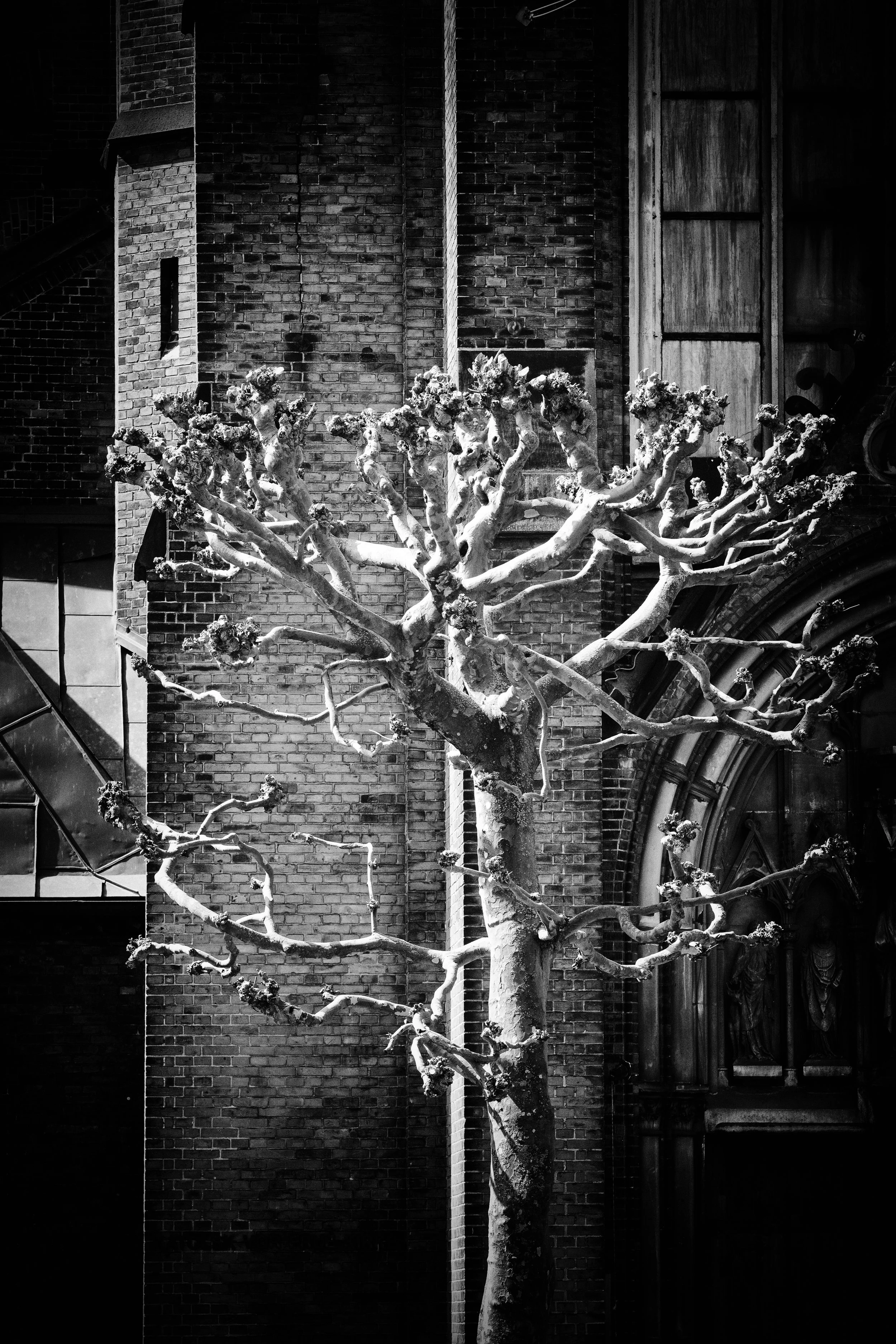 DSC_3091.b.ZW..jpg