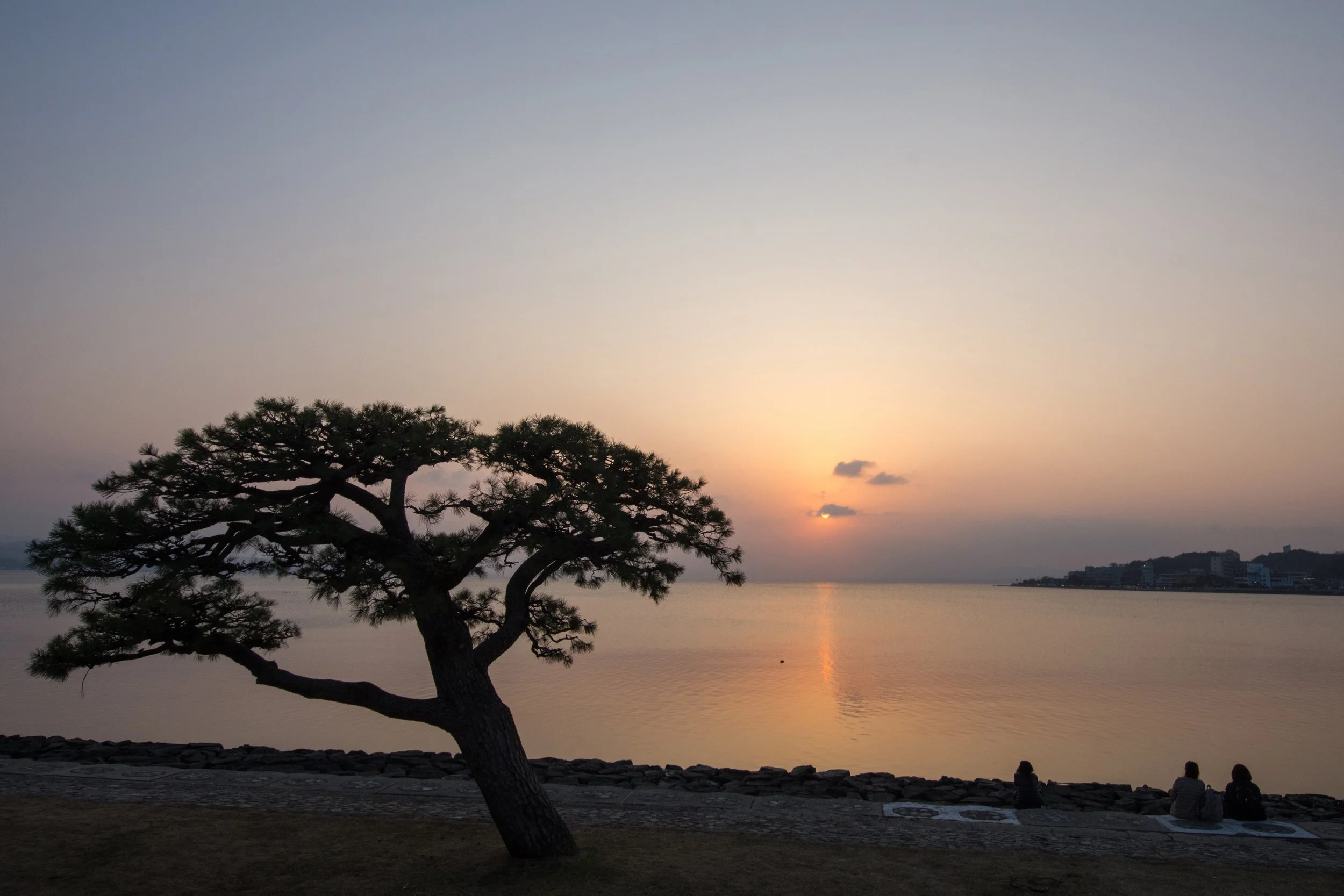 DSC_1402.b.k..jpg
