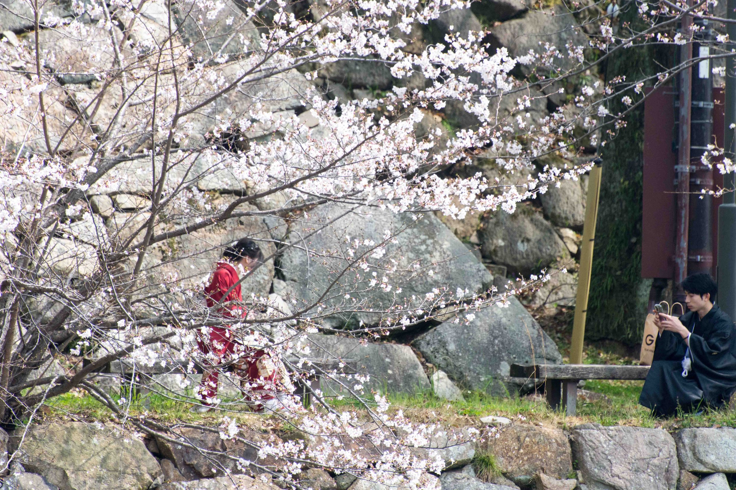DSC_2046.b.k..jpg