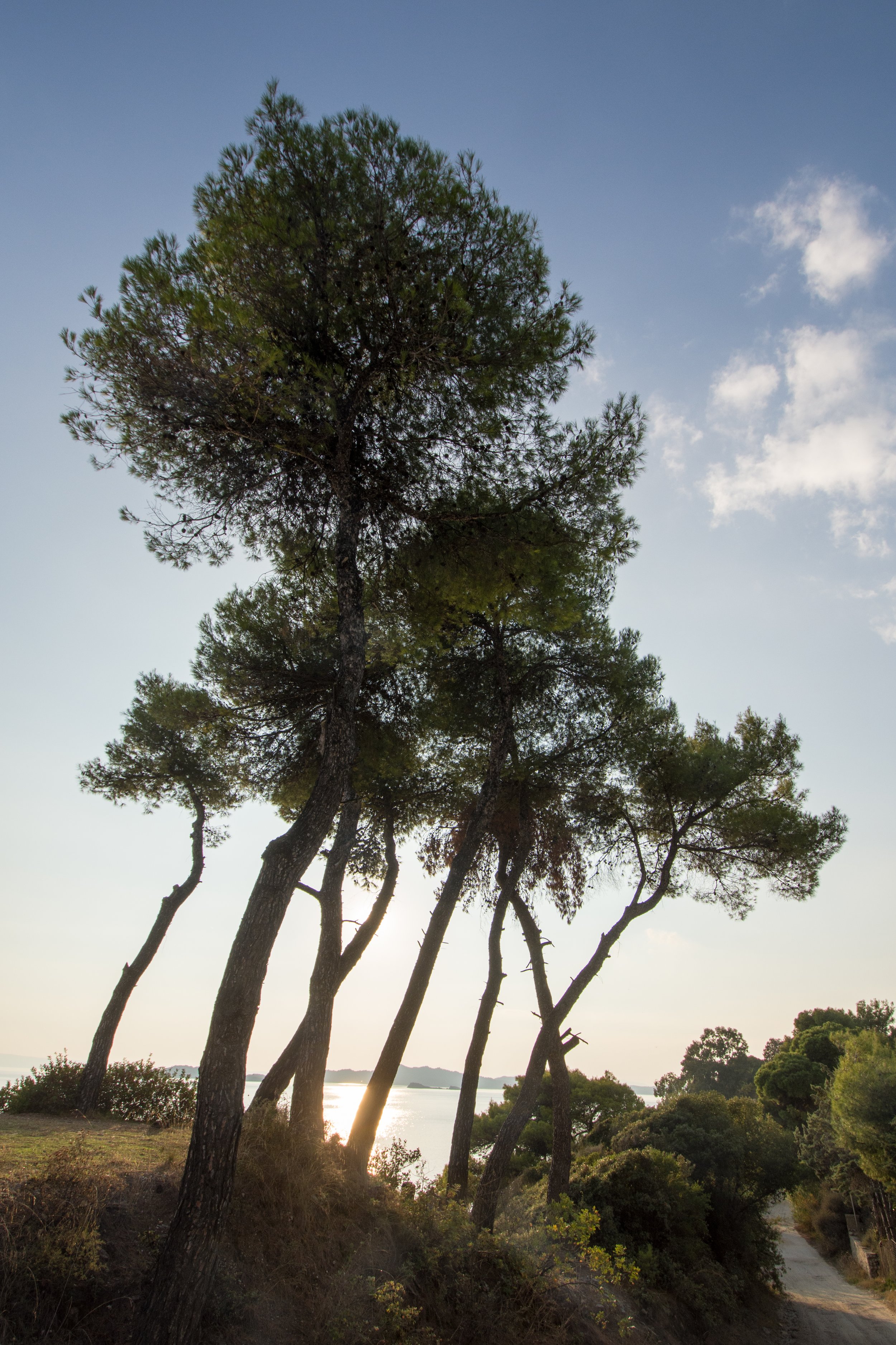 DSC_9166.b.jpg