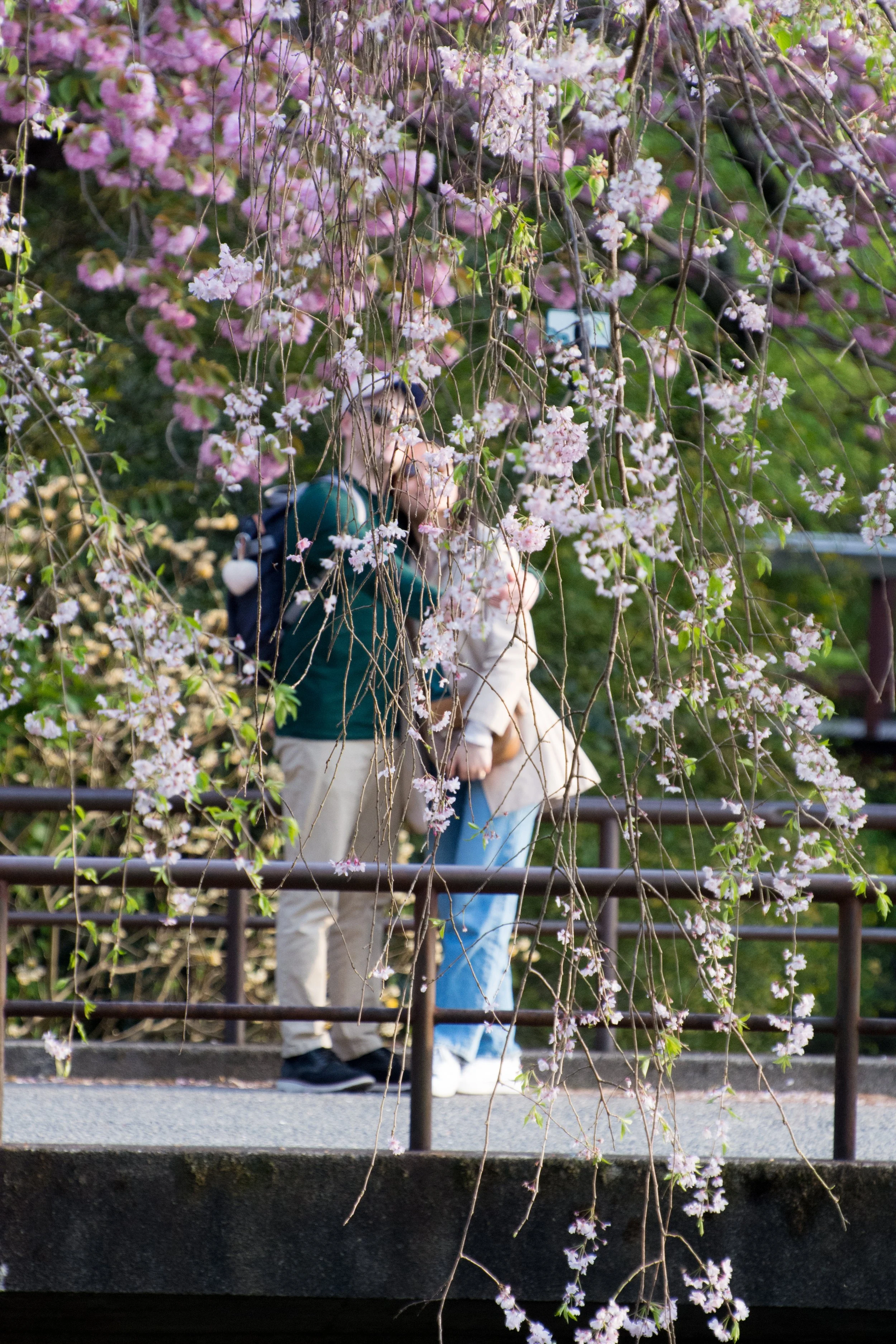 DSC_6576.b..jpg