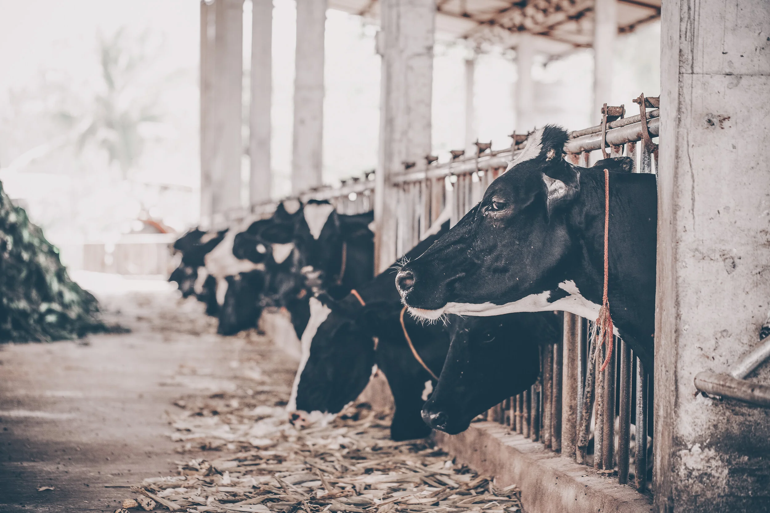 LMA - Agricultural Aerosols Made in the UK.jpg