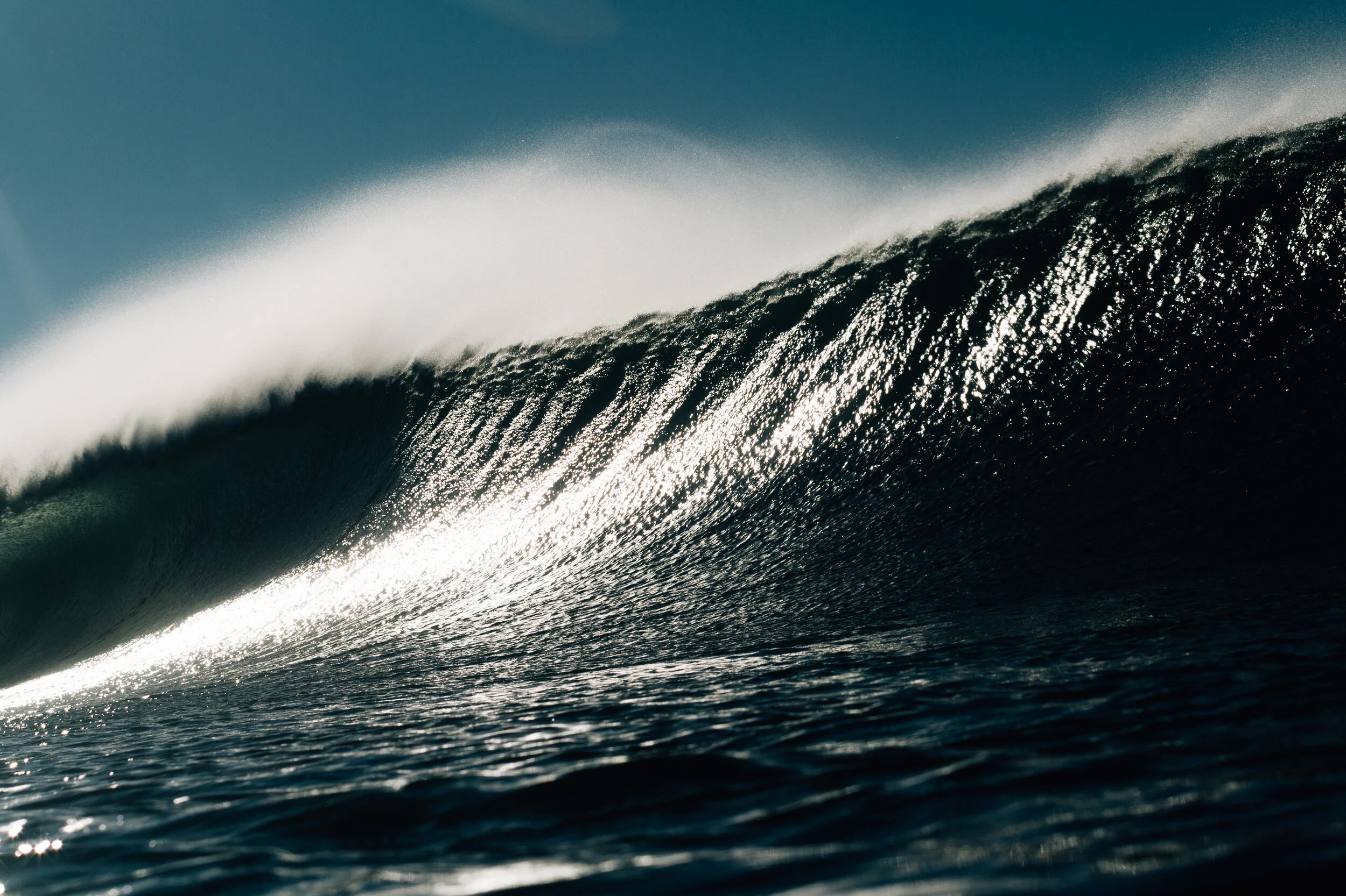 Robbie Dark Photo-0890.JPG