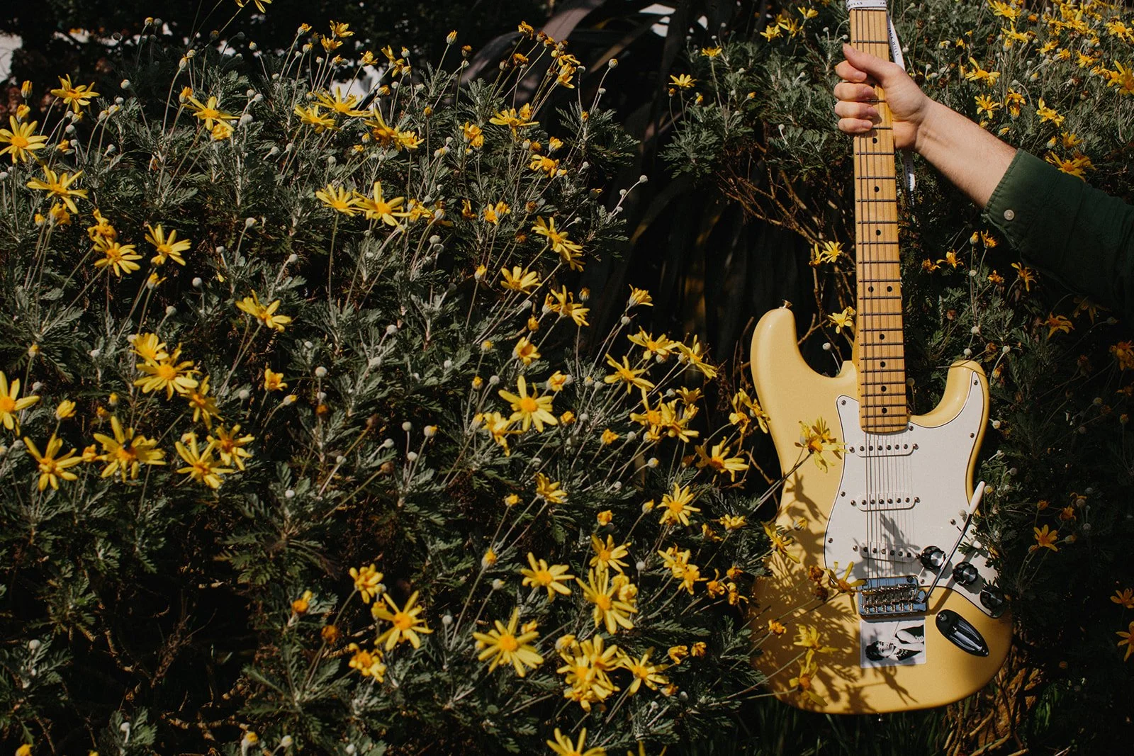 Daniel Brown_Photo Robbie Dark-3053_websize.jpg