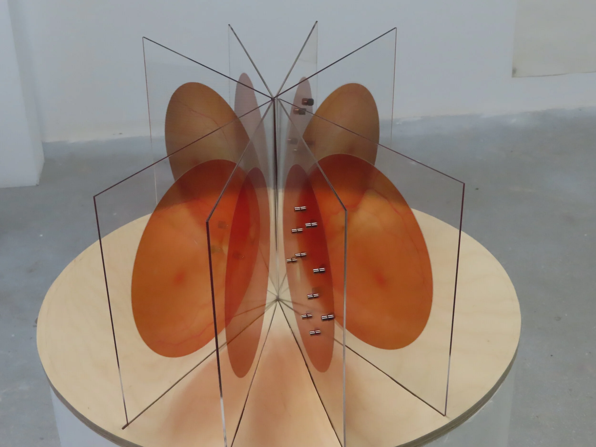  24cm square clear acrylic, magnetite 1cm crystals, neodynium magnets, vinyl acrylic  