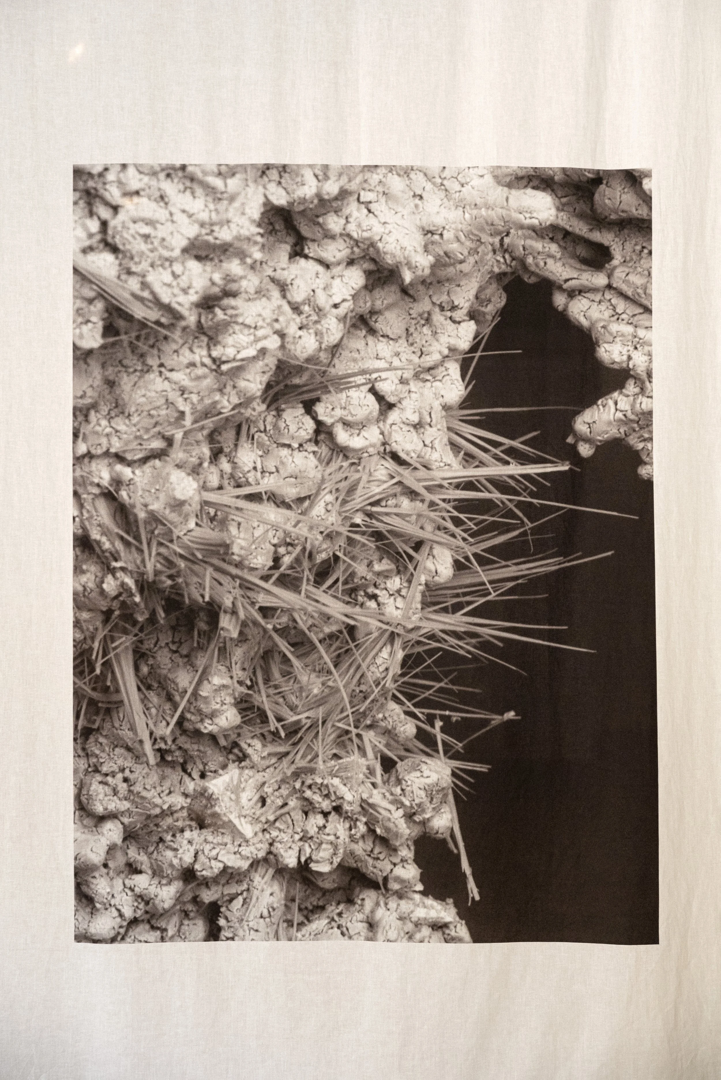 Interface GIAF2024 29.jpg