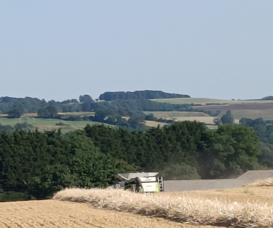 Rural Business Support: Why Farming Life Needs a Virtual Assistant Who Gets It.