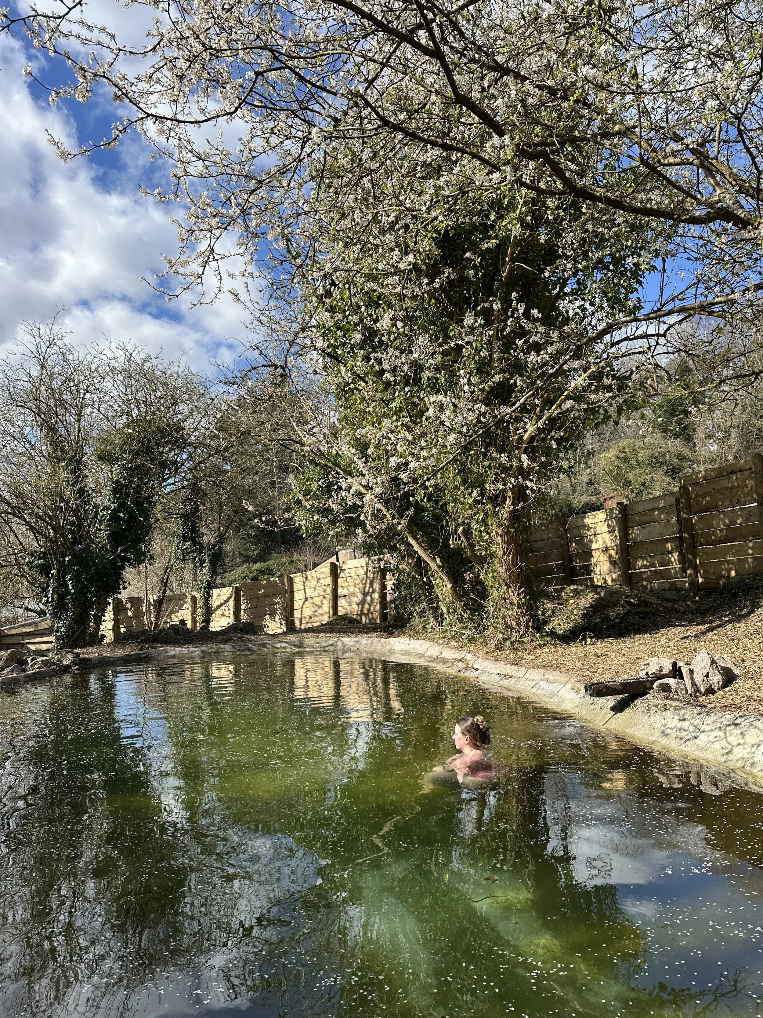 Sauna and ice bath in Bristol: Fire & Ice Wellness