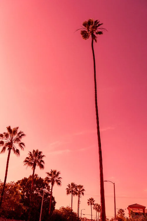 California-1.jpg