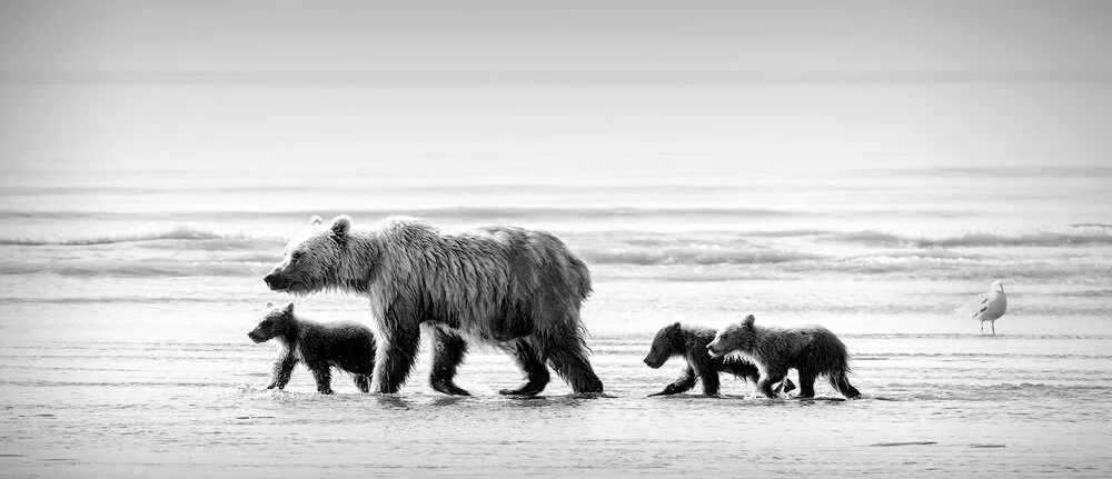 Mother and Cubs - Sea Walk