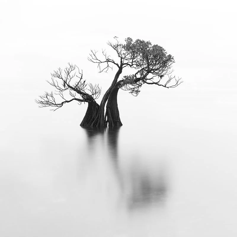 _DSC6062-sharpened.jpg
