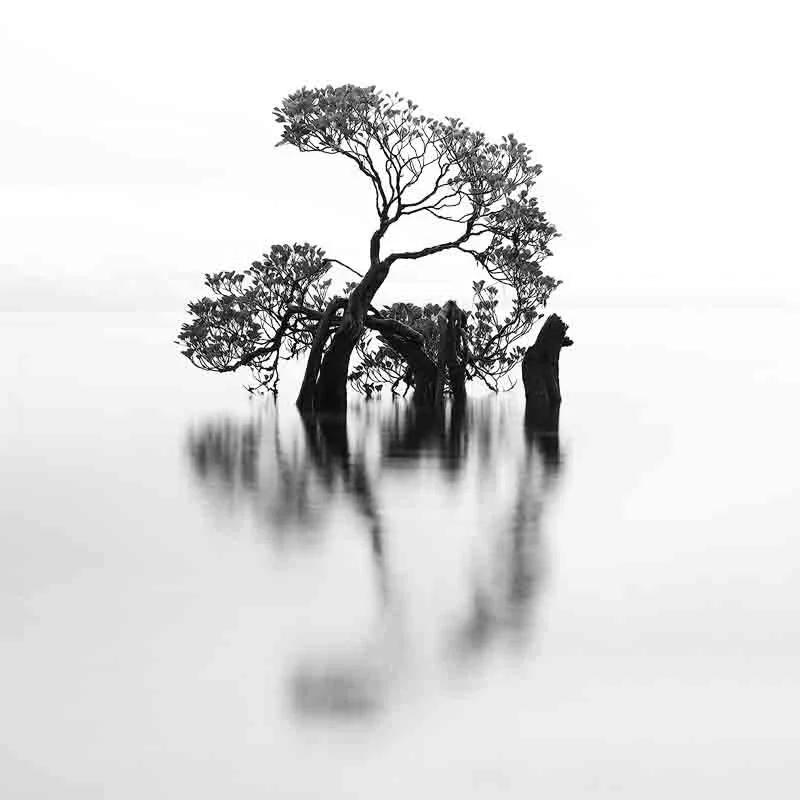 _DSC6073-2-sharpened.jpg
