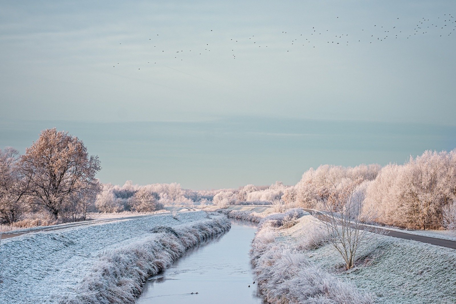 WhatsApp Image 2026-01-08 at 20.23.02.jpeg