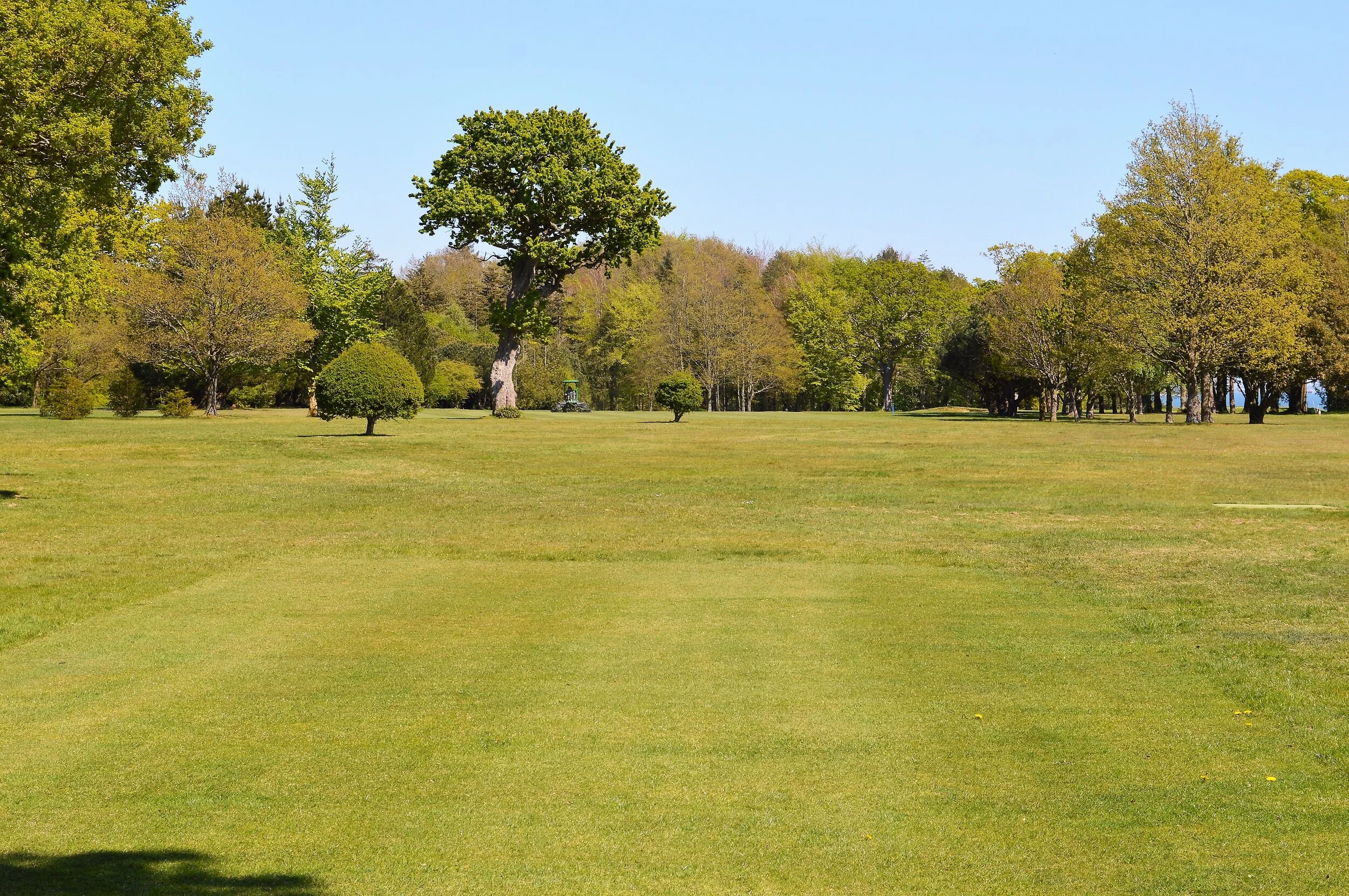  5TH TEE 