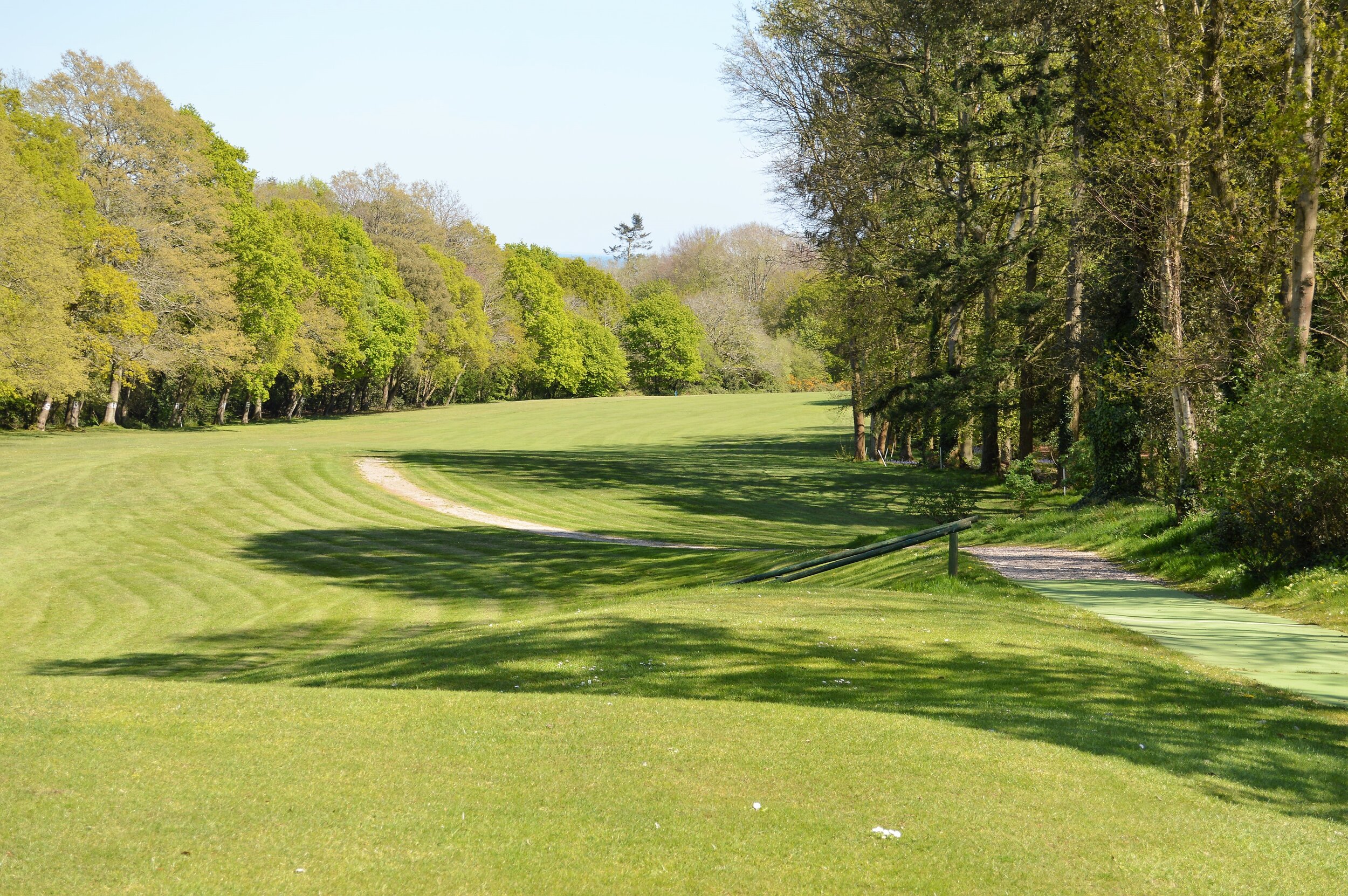  7TH TEE 
