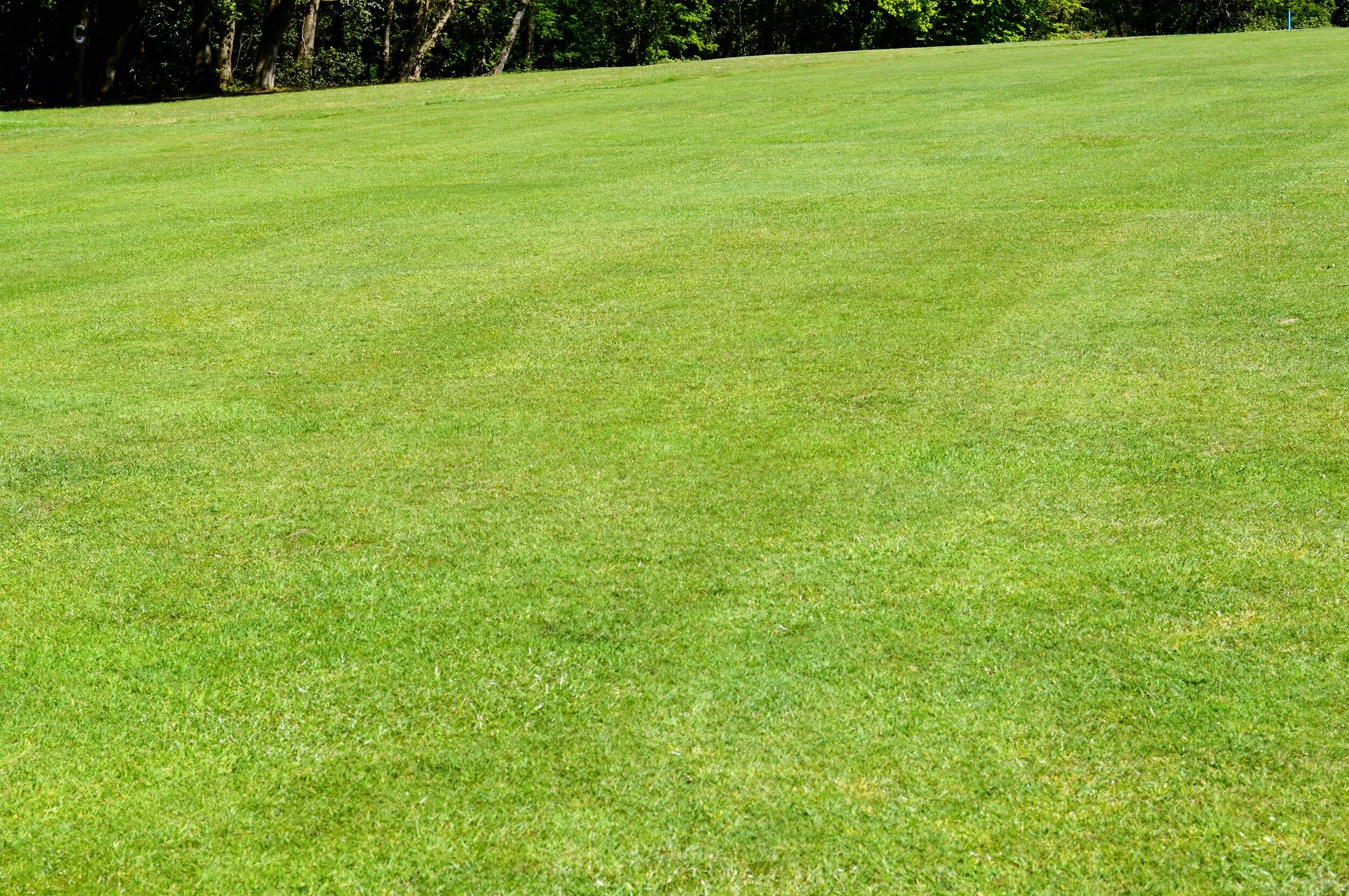  7TH FAIRWAY  
