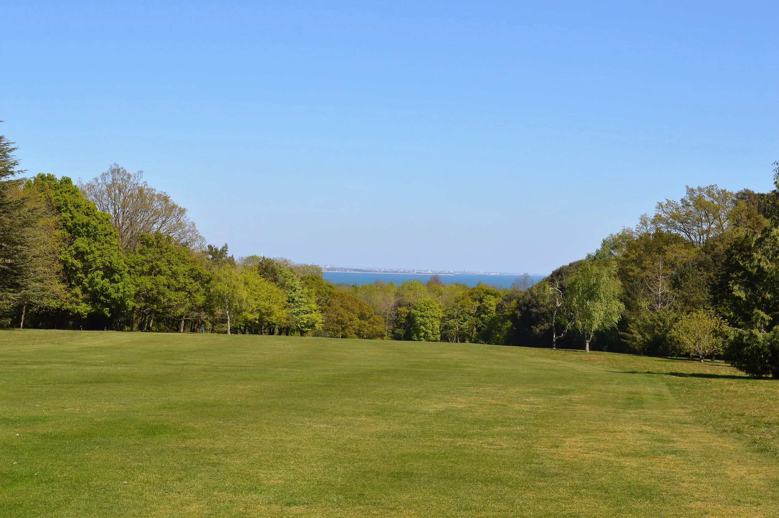  8TH FAIRWAY 