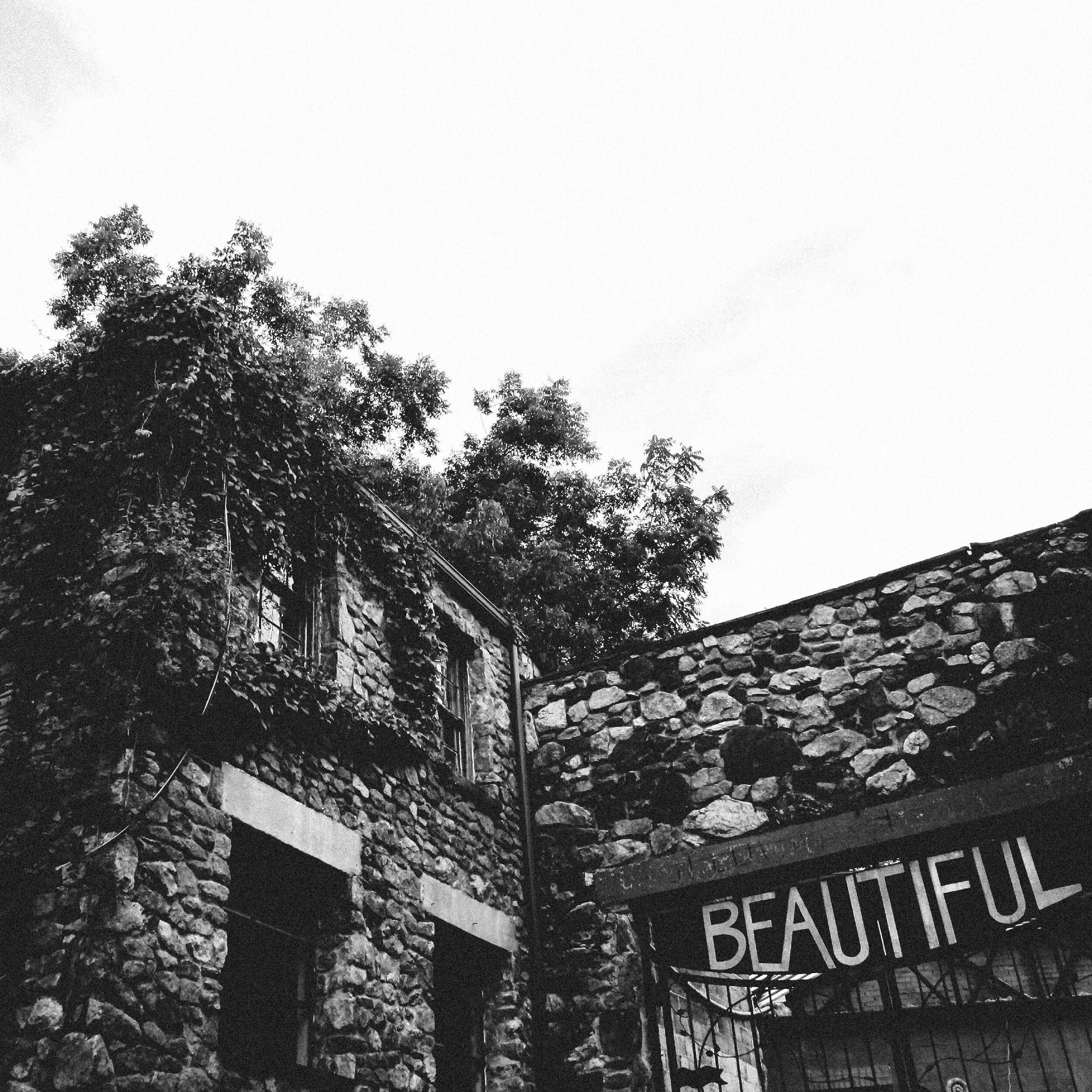 Trent Rice Beautiful Cover.jpg