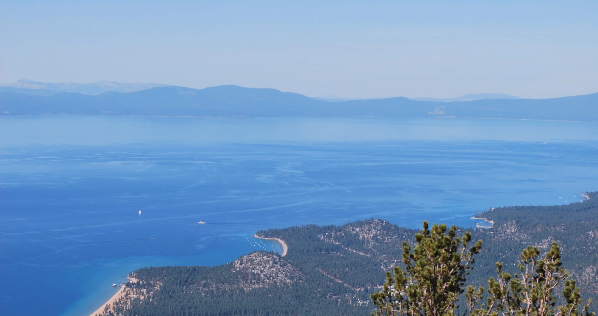 DSC_0547.jpg