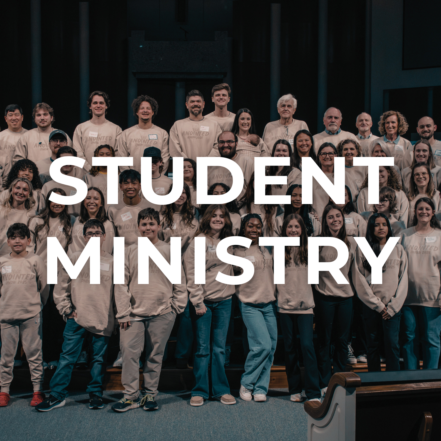 Sage Green Overlay Thumbnail-4.png