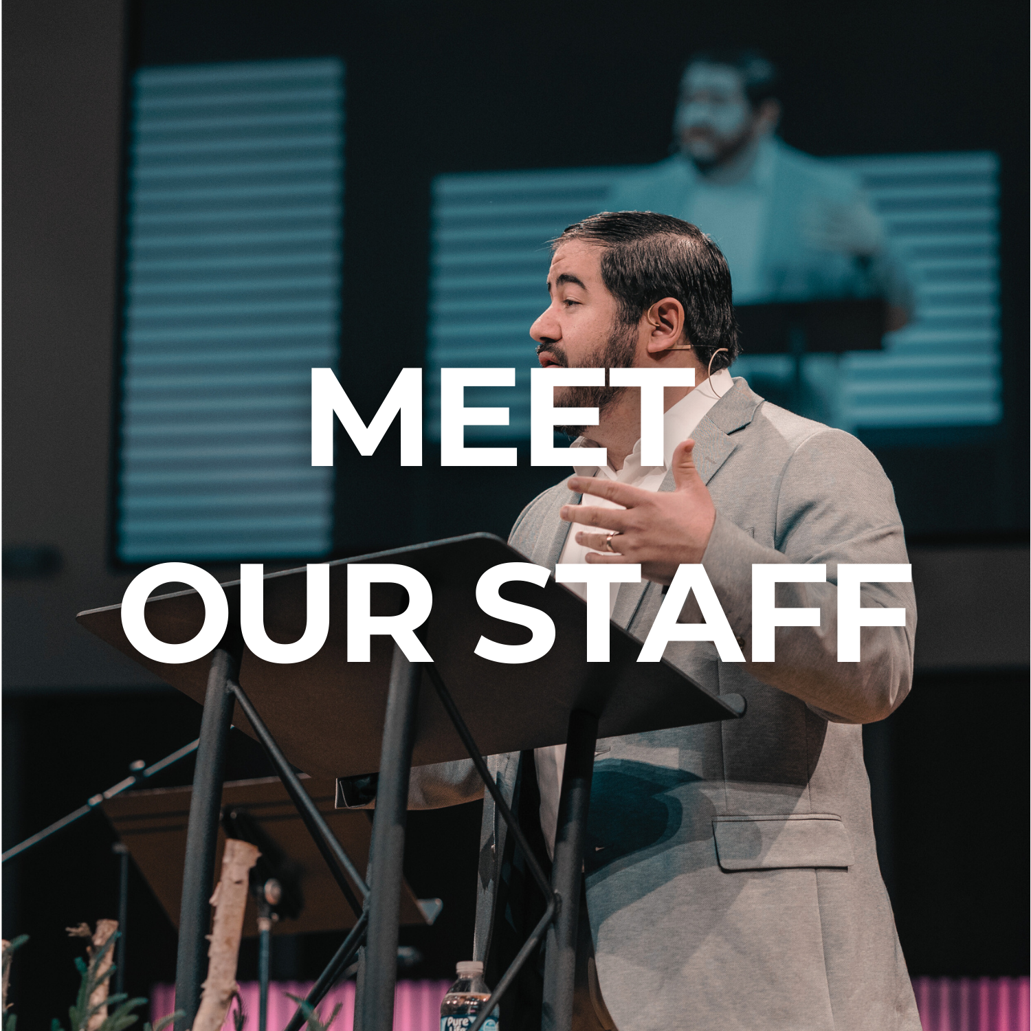 Sage Green Overlay Thumbnail-2.png