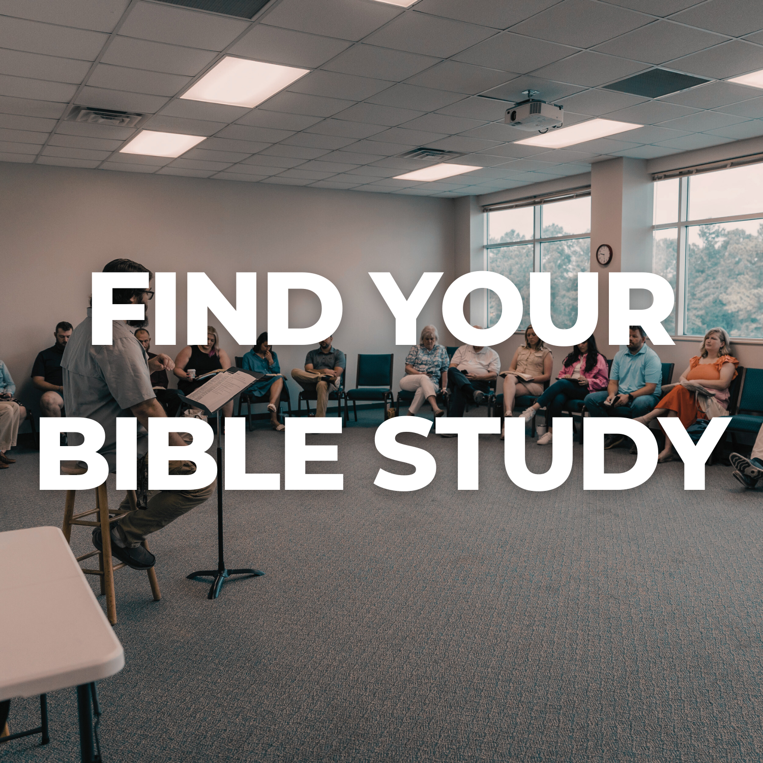 Sage Green Overlay Thumbnail.png