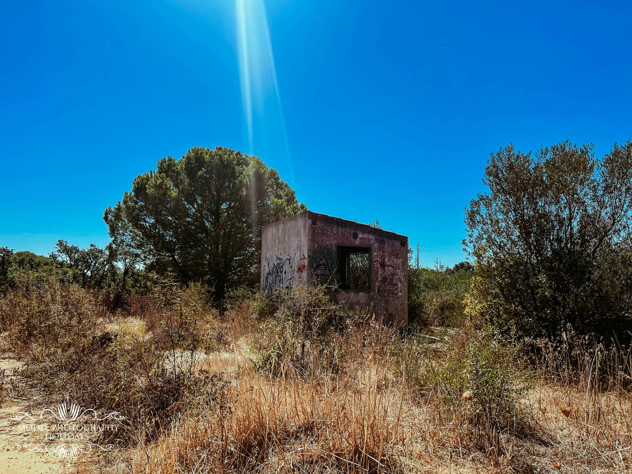 An abandoned building in a rural area surrounded by dry grass and trees, with a blue sky above and graffiti on the building's wall.