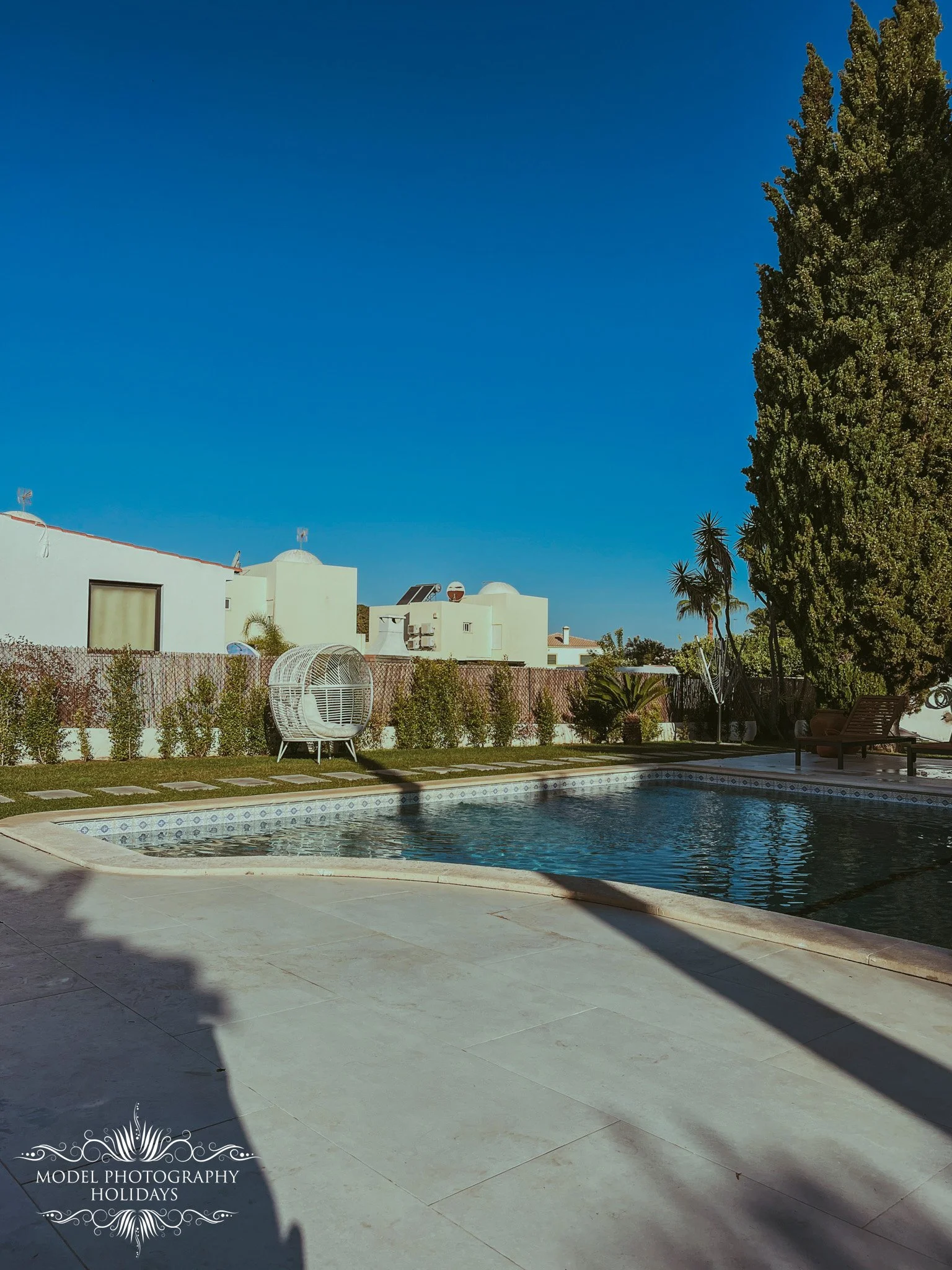 A backyard with a swimming pool, white outdoor furniture, tall cactus and trees, modern white houses, and a clear blue sky.