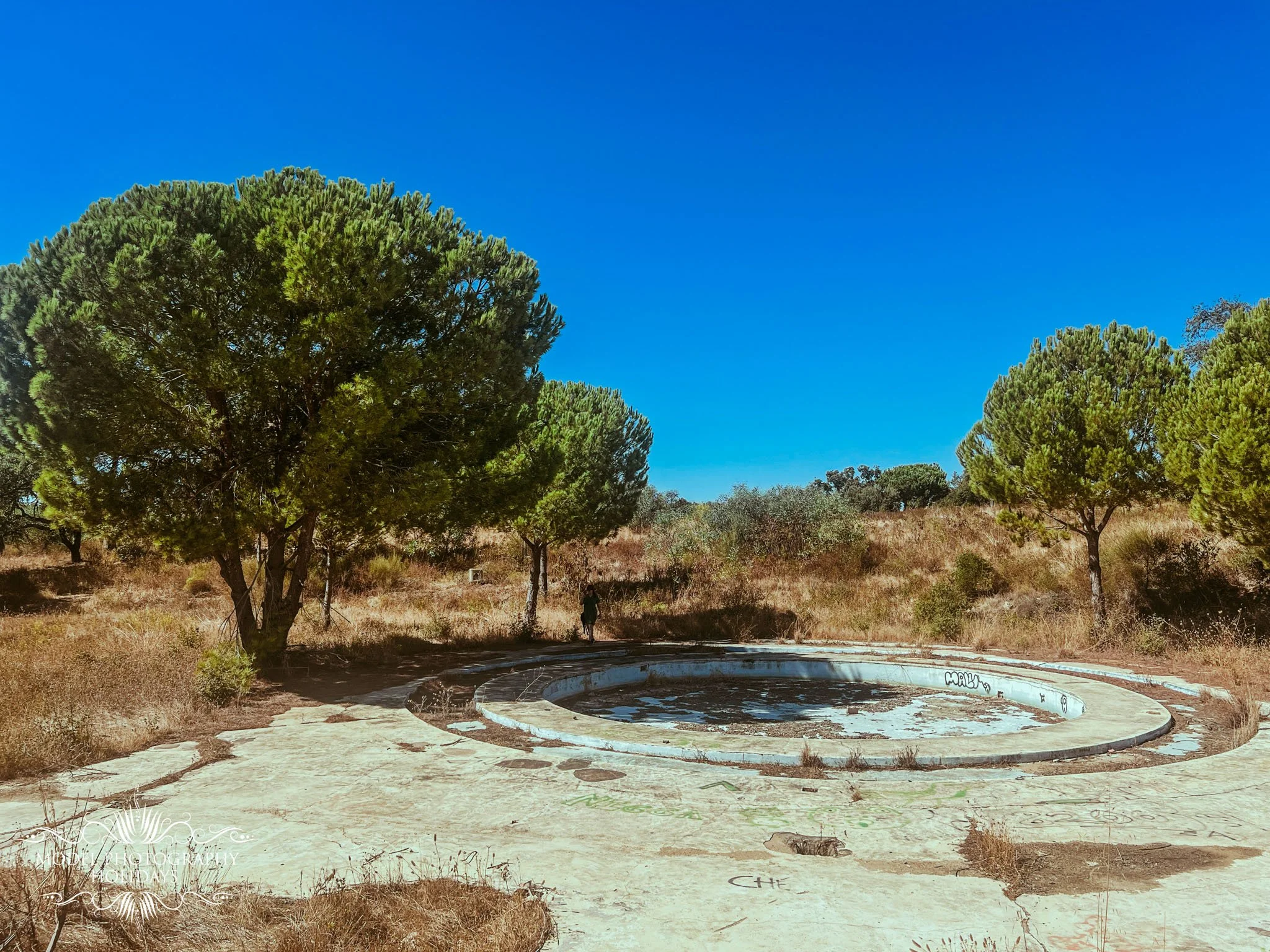 Abandoned, graffiti-covered water fountain in a dry, grassy park with tall trees and a clear blue sky.