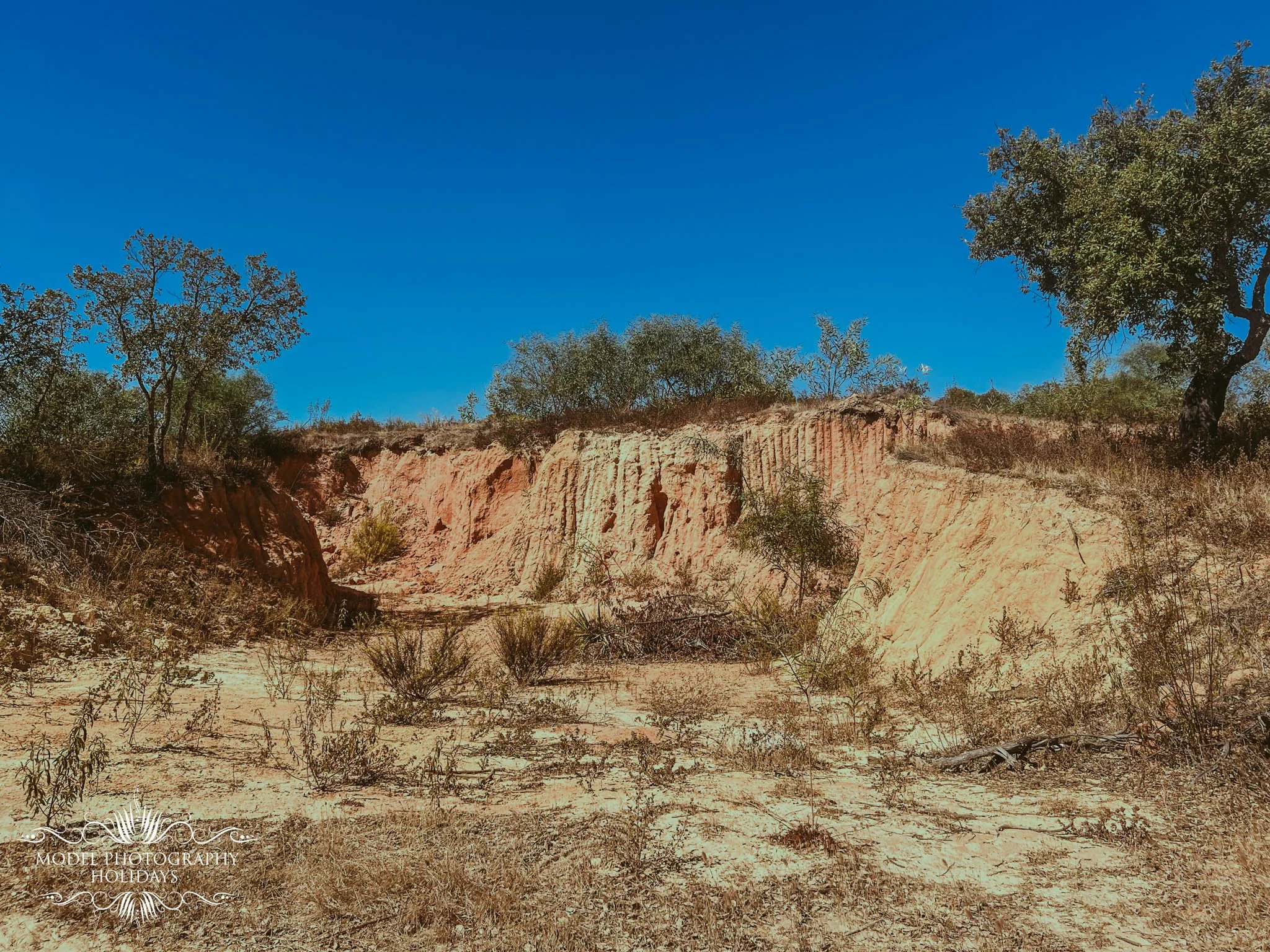 Arid landscape with sparse vegetation, low shrubs, and a dirt hill with exposed red rock, under a bright blue sky.