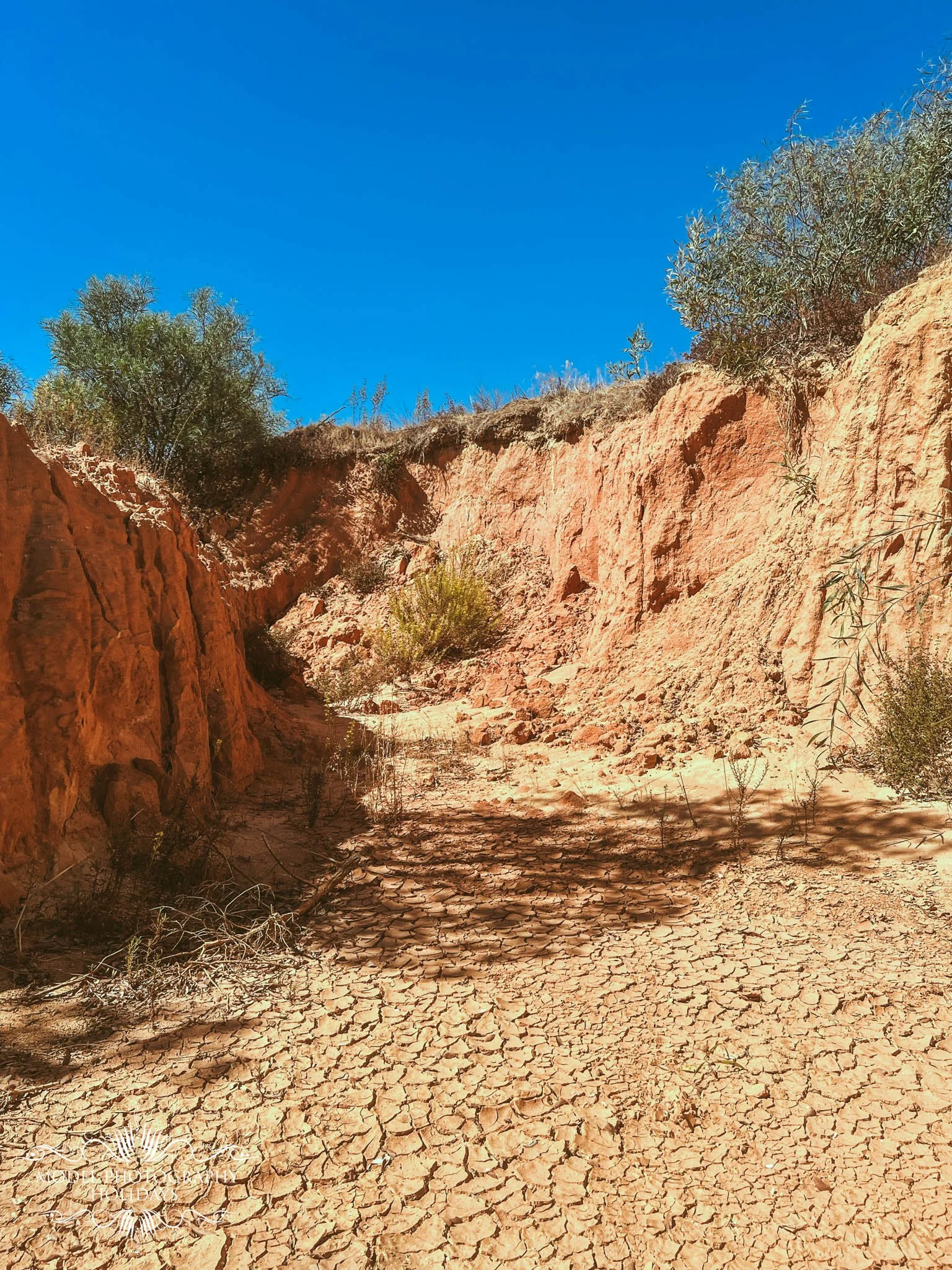 Dry, cracked earth in a desert landscape with reddish rock formations and sparse vegetation under a clear blue sky.