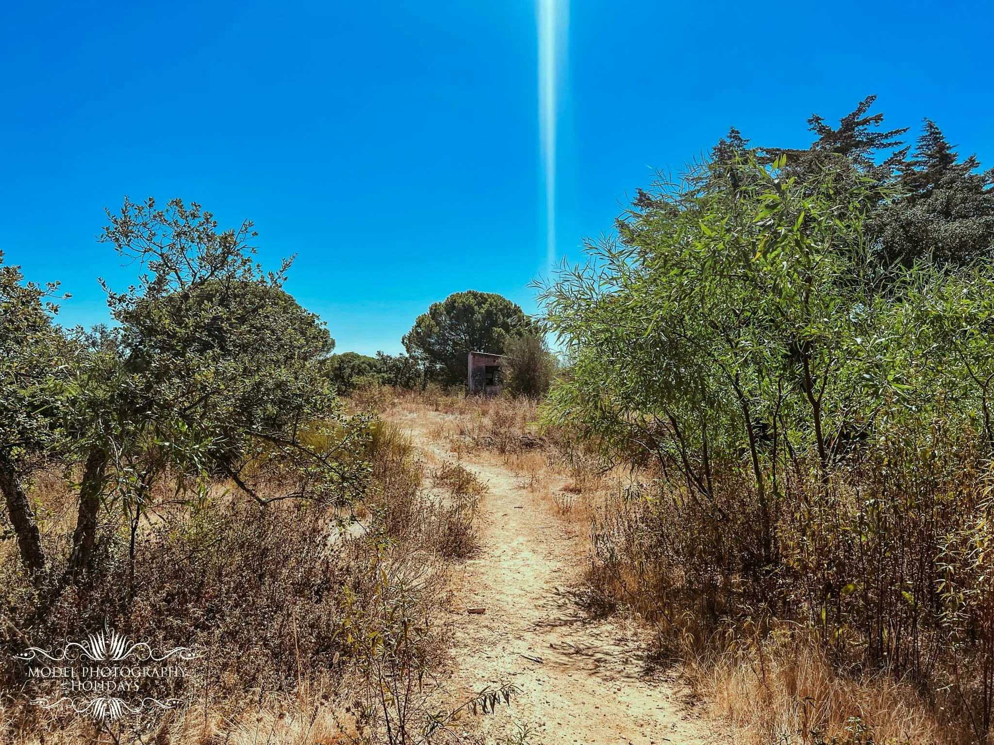 A dirt path leading through a dry, grassy area with green trees on each side and a bright blue sky above.