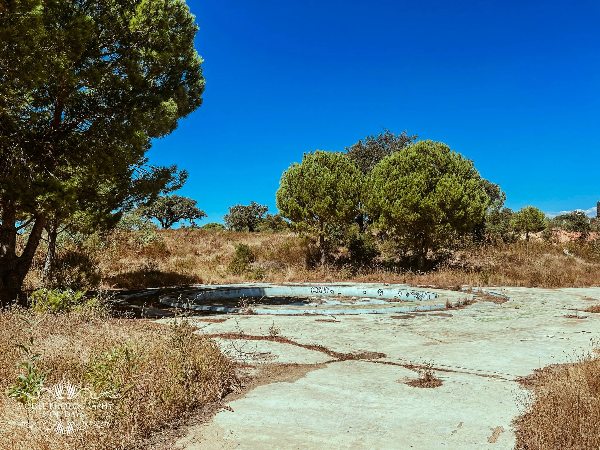 An abandoned, graffiti-covered swimming pool with dry, cracked concrete surrounded by overgrown grass and trees under a clear blue sky.