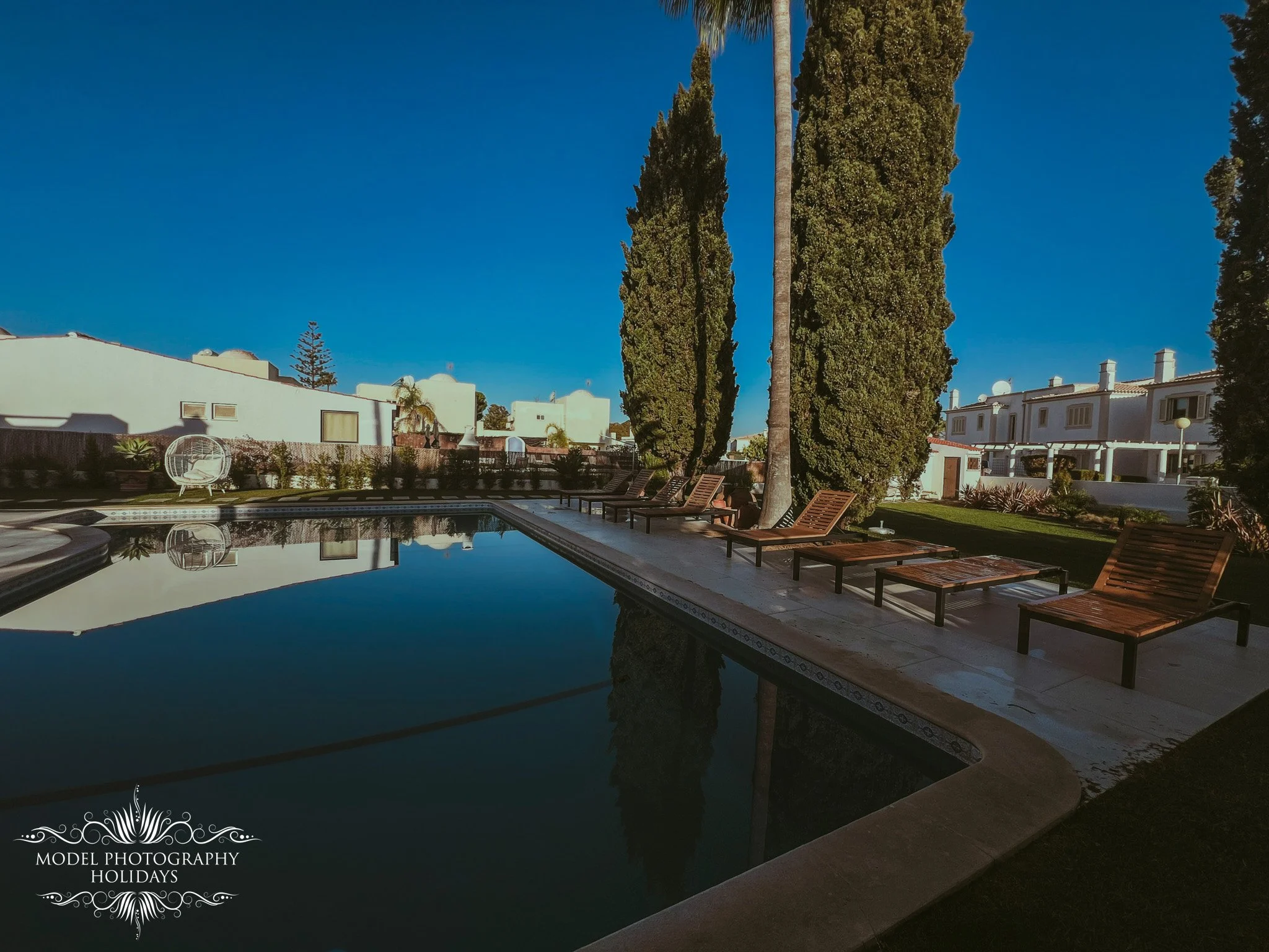 A backyard with a swimming pool, wooden lounge chairs, tall cypress and palm trees, white residential buildings, and a clear blue sky.