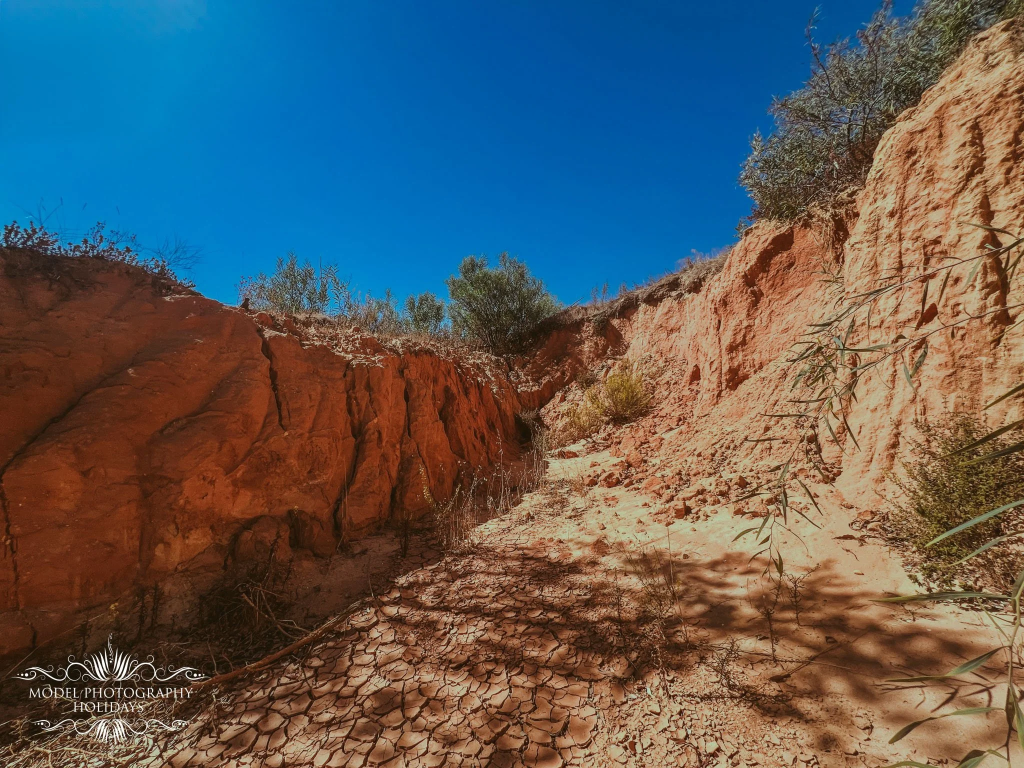 A dry, arid canyon with red and orange soil, sparse vegetation including small bushes and grasses, and a deep blue sky above.