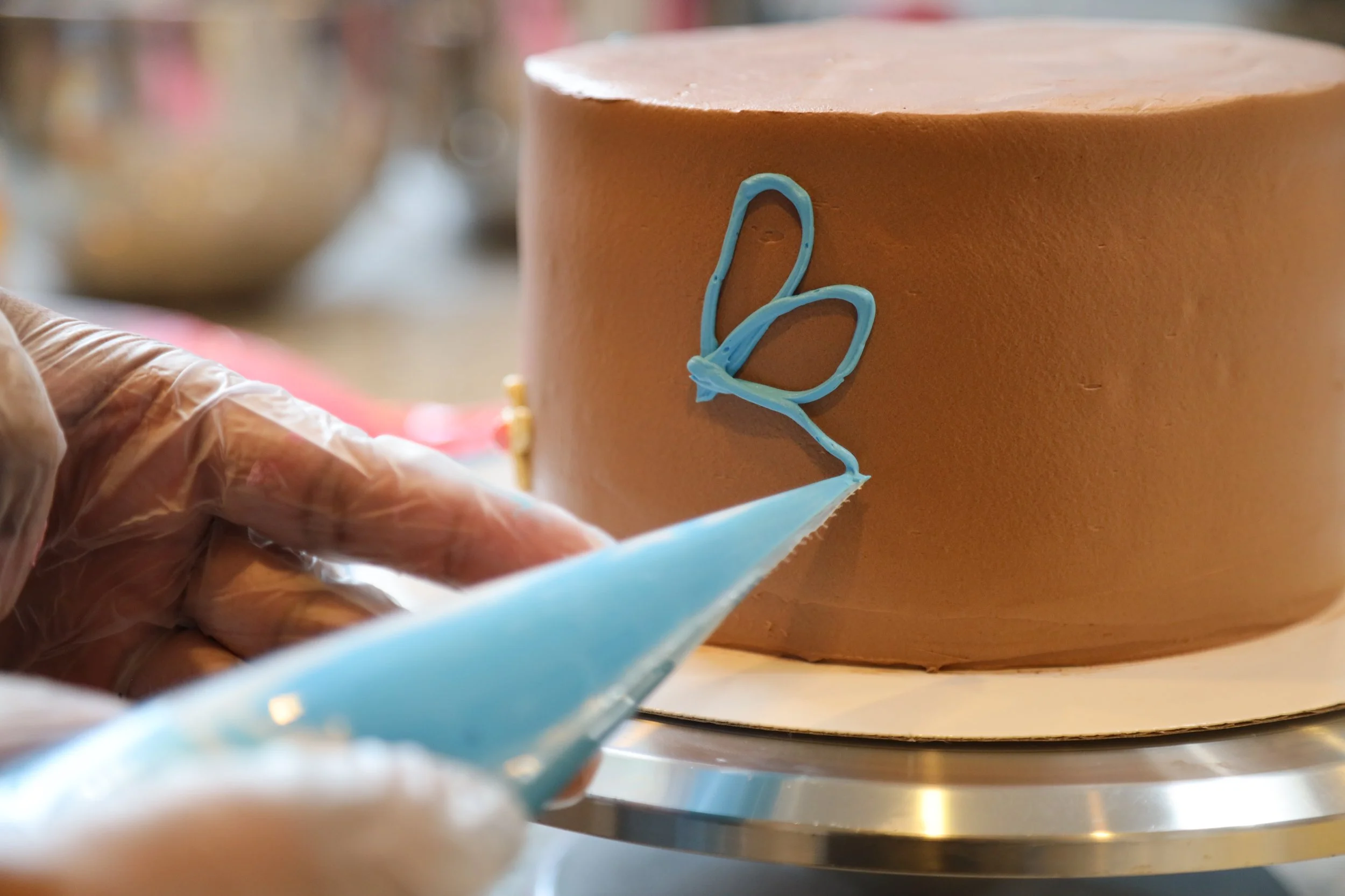 Daylight Time-Saving: Spring Cake Program