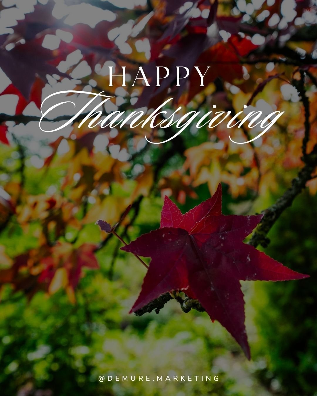 As a small business, we are incredibly grateful for the support and trust our community has shown us throughout the year. This Thanksgiving, we want to extend our heartfelt thanks to you! May your holiday be filled with joy, delicious food, and cheri