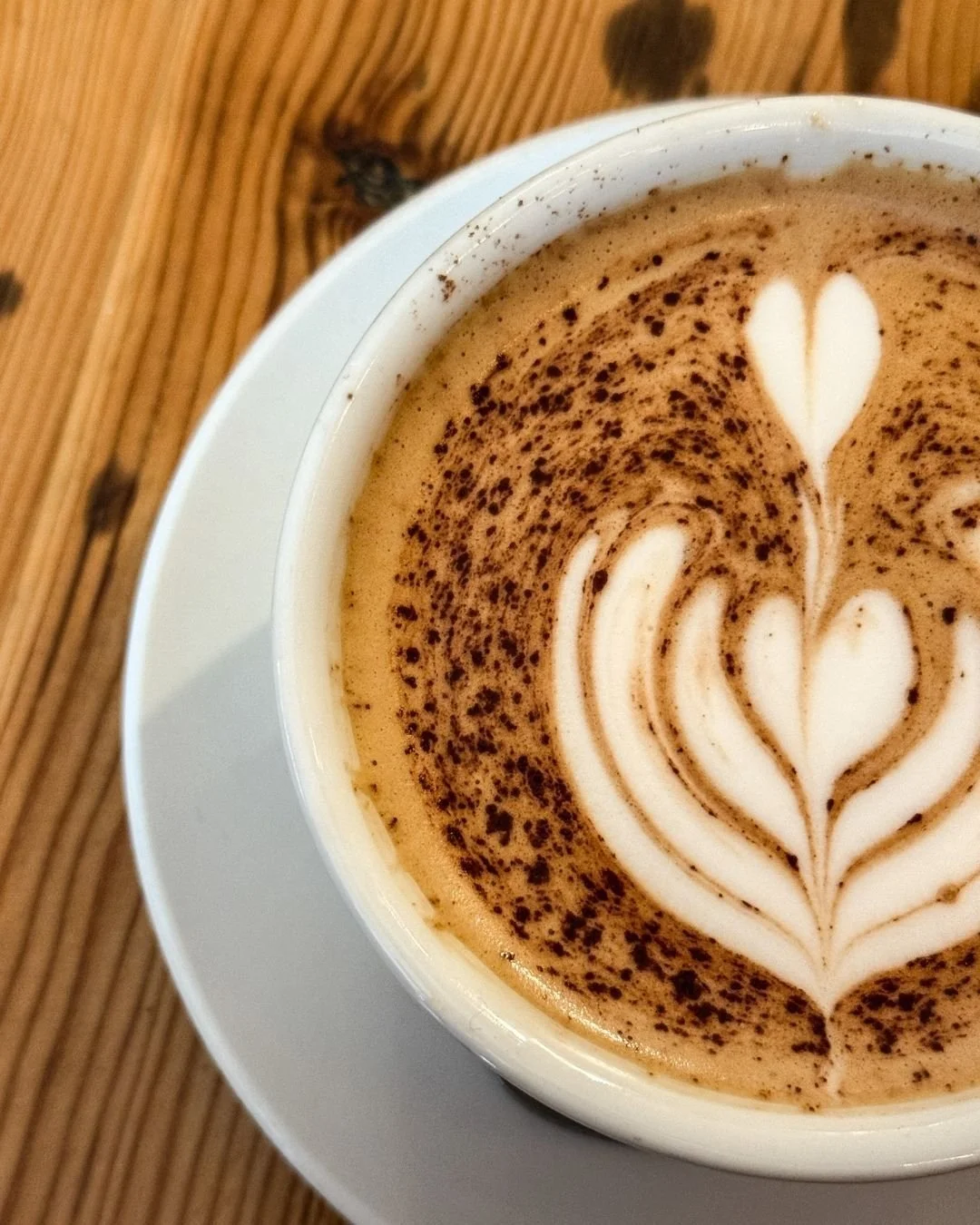 Are you a small business looking to make a big impact? 

At Demure Marketing, we understand that every client has its own story to tell, and we tailor our marketing strategies to be as unique as your coffee order.

From social media management and co