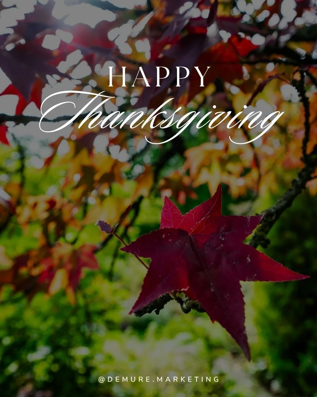 As a small business, we are incredibly grateful for the support and trust our community has shown us throughout the year. This Thanksgiving, we want to extend our heartfelt thanks to you! May your holiday be filled with joy, delicious food, and cheri