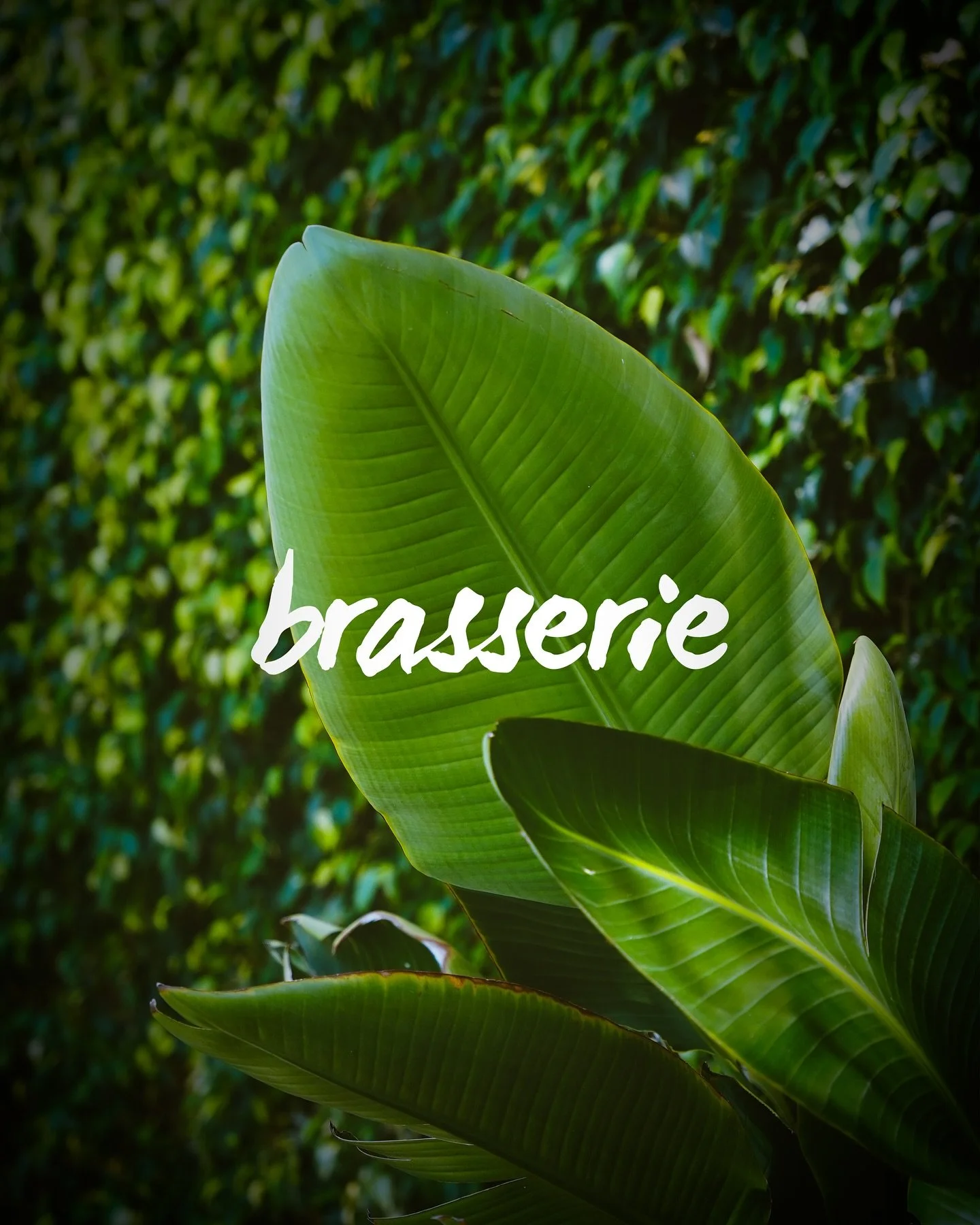 Algo nuevo se est&aacute; cocinando en nuestras brasas&hellip; muy pronto lo sabr&aacute;s. 🔥

📍Patalavaca, #GranCanaria

📞 Reserva 673 32 79 37

💧 by @&zwnj;kaiclubgc

#terrazarestaurante #josper #grancanaria #sunsetbrunch #kaiclub #brassiere #c