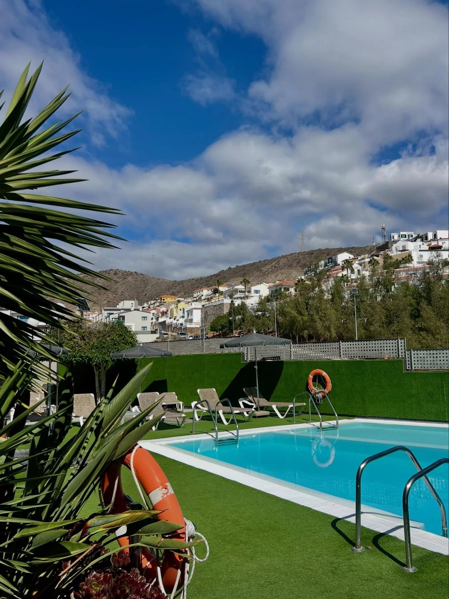 Green vibes, crystal-clear water, and total chill mode. 🌴💦
#GranCanariaVibes #CornisaLifestyle

Modo verde, agua cristalina y relax total. 🌴💦
#VacacionesEnGranCanaria #EstiloCornisa
