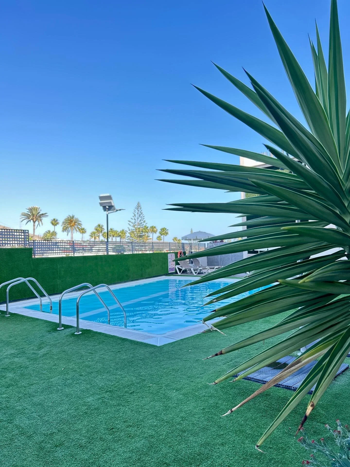 Un rinc&oacute;n de tranquilidad 🌿☀️

Disfruta del sol y la piscina en Cornisa Apartments.
Tu hogar en Gran Canaria te espera. 🏡💦

#CornisaApartments #VacacionesPerfectas #Piscina #GranCanaria

A peaceful corner 🌿☀️

Soak up the sun and enjoy the