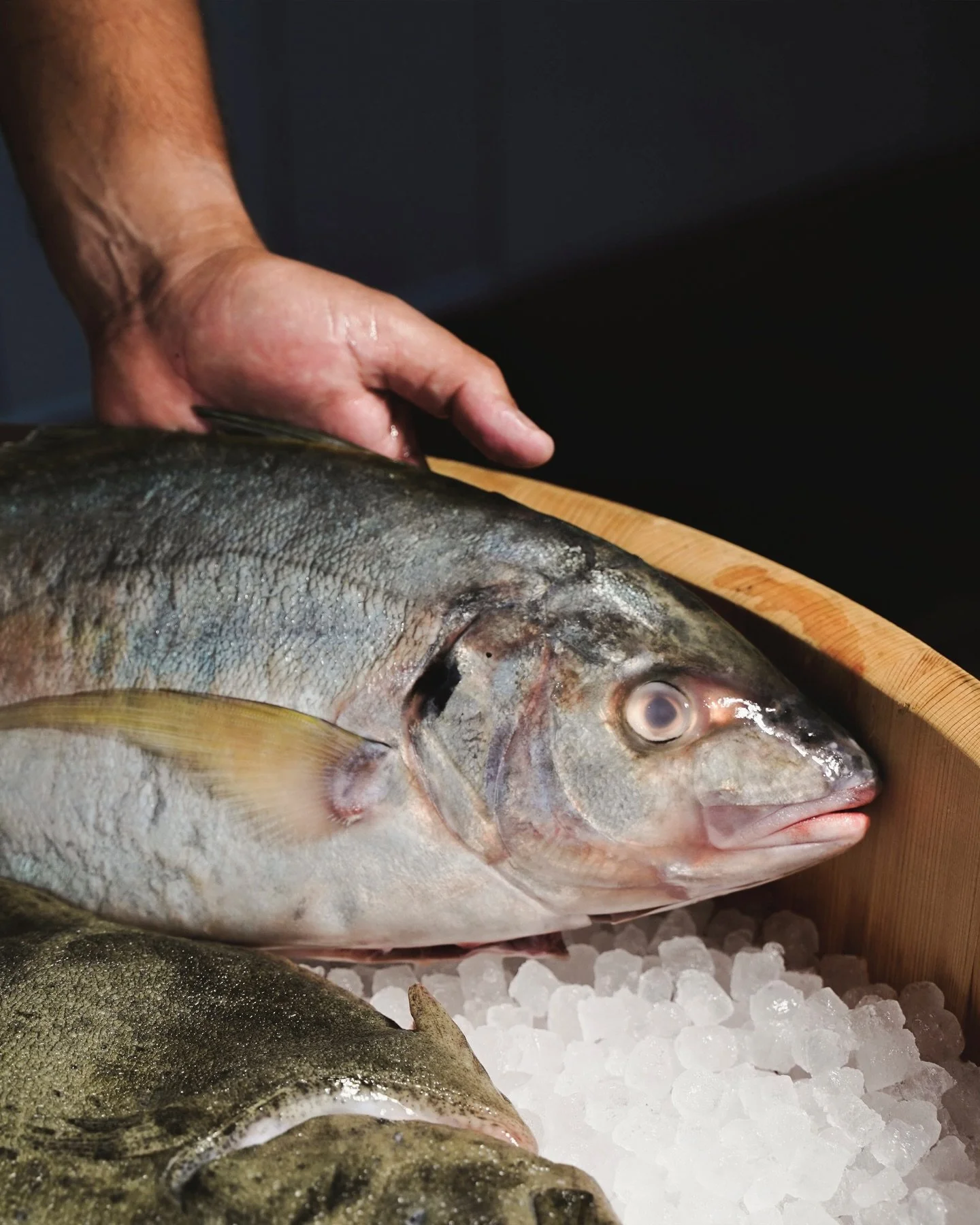 Producto fresco. Hecho como se merece.

📍Patalavaca, #GranCanaria

📞 Reserva 673 32 79 37

💧 by @&zwnj;kaiclubgc

#terrazarestaurante #josper #grancanaria #sunsetbrunch kaiclub brassiere canaryislands tradicional