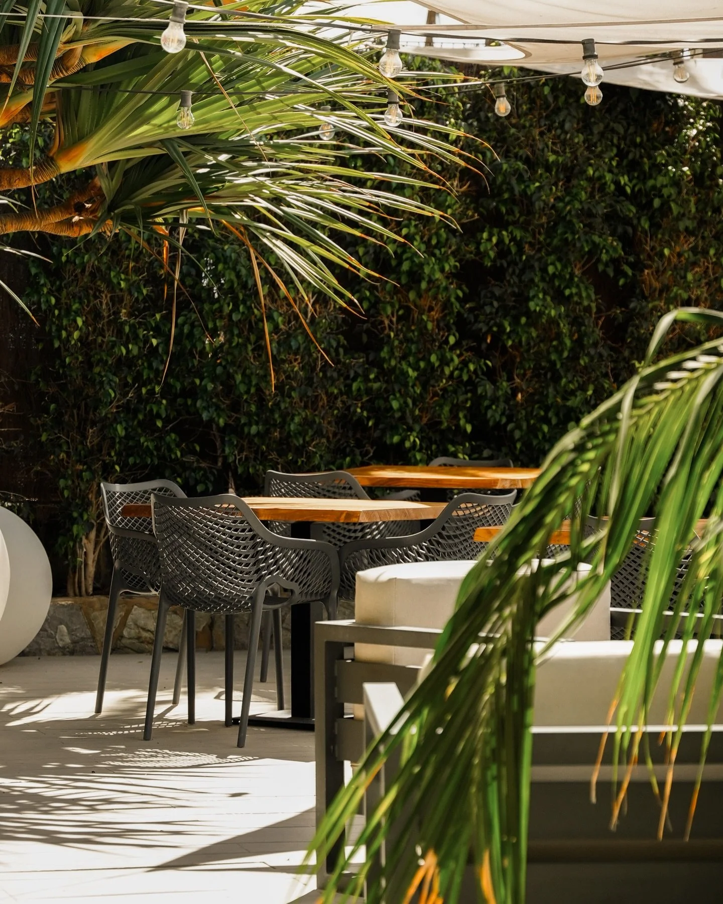 Aqu&iacute; el invierno tambi&eacute;n se disfruta al sol.

📍Patalavaca, #GranCanaria

📞 Reserva 673 32 79 37

💧 by @&zwnj;kaiclubgc

#terrazarestaurante #josper #grancanaria #sunsetbrunch kaiclub brassiere canaryislands tradicional