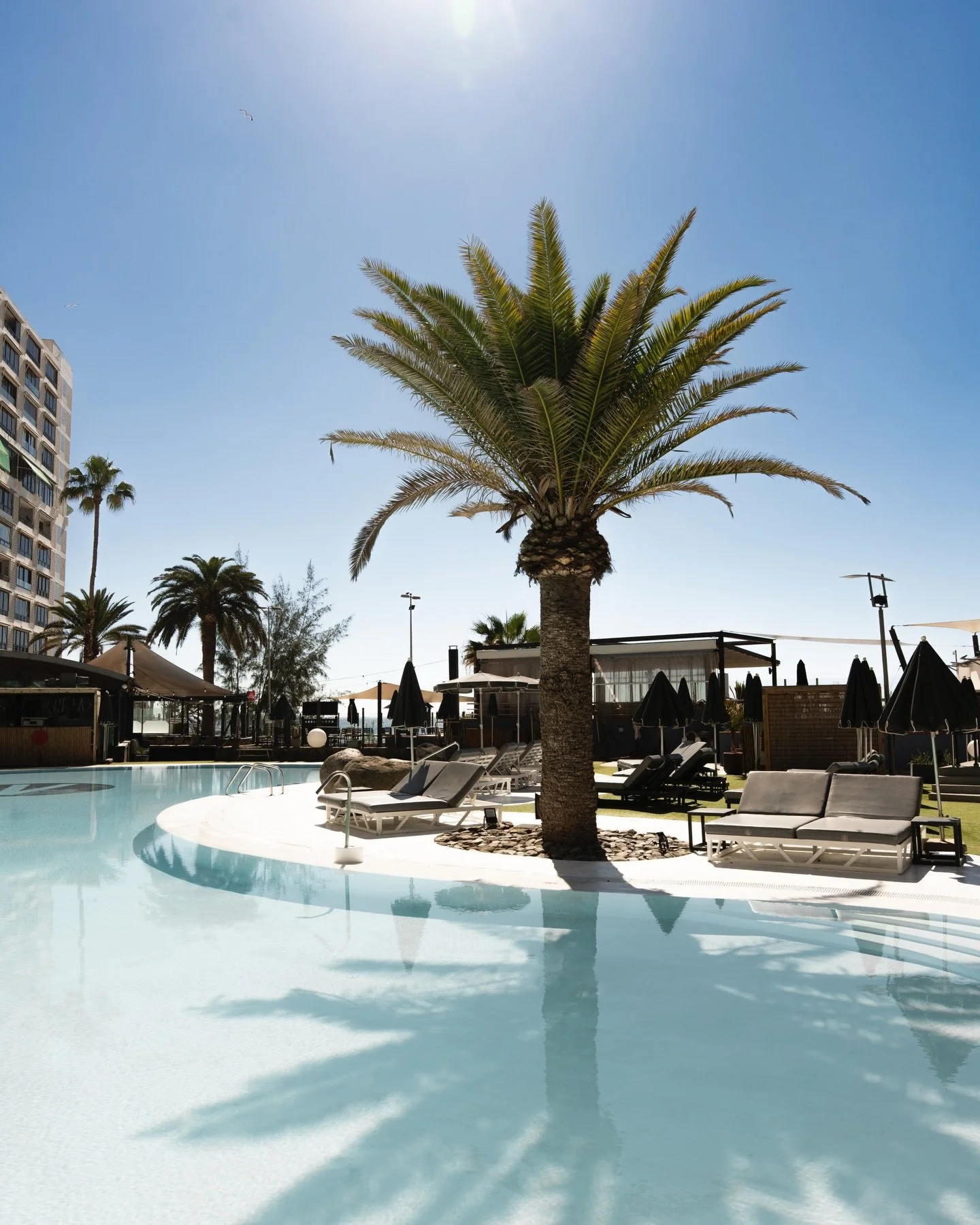 &iquest;Te vienes a desconectar?

Reserva en nuestra web (enlace en nuestra bio) o ll&aacute;manos al 📲 687 600 153.

#kaiclub #piscina #beachclub #patalavaca #grancanaria canarias summer cocktails