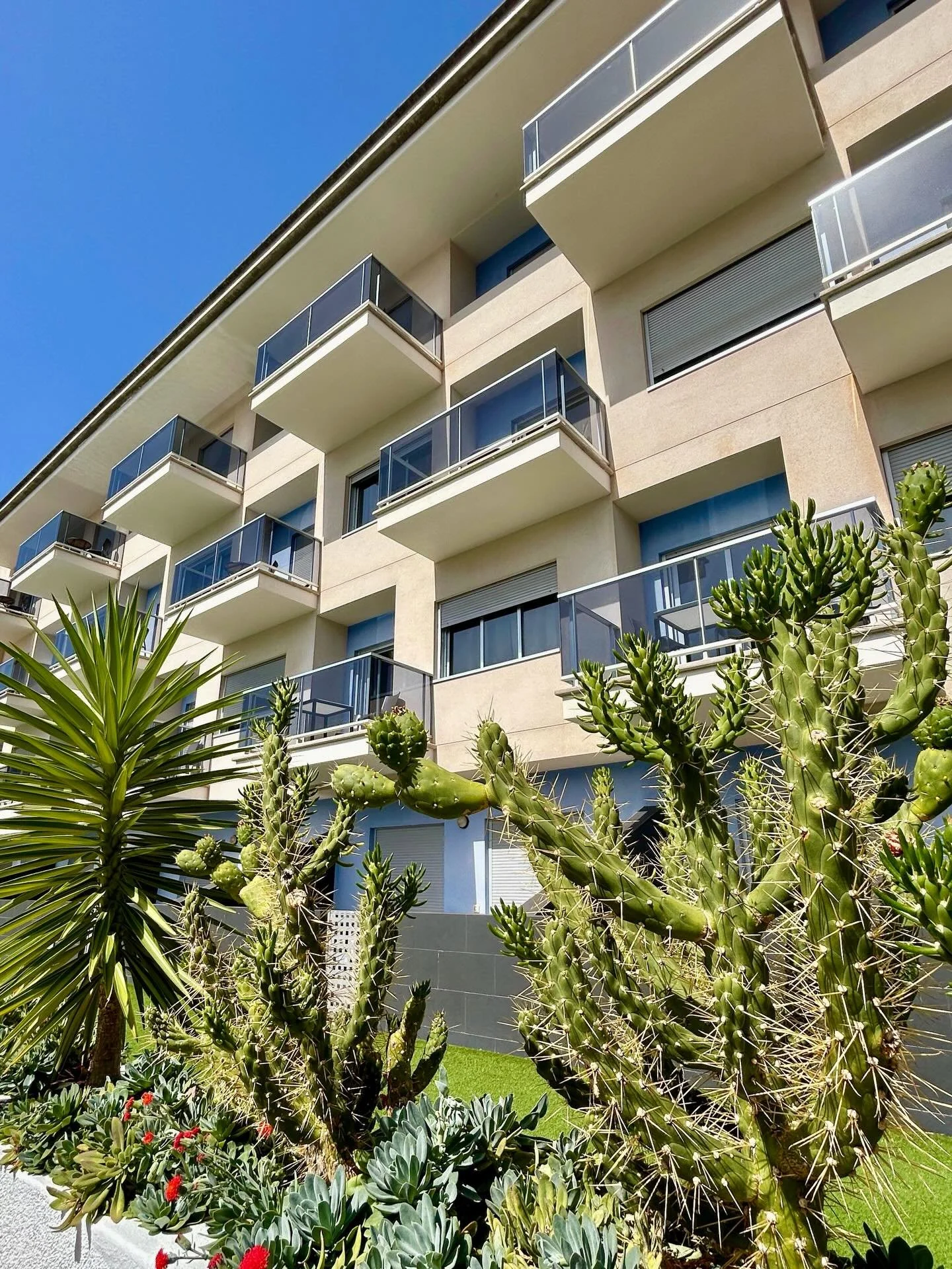 Rel&aacute;jate junto a nuestra piscina rodeada de plantas y disfruta de un ambiente tranquilo y acogedor. 🌿💦
&iexcl;Tu descanso empieza aqu&iacute;! 🏖️
 

Relax by our pool surrounded by lush plants and enjoy a peaceful, cozy atmosphere. 🌿💦
You