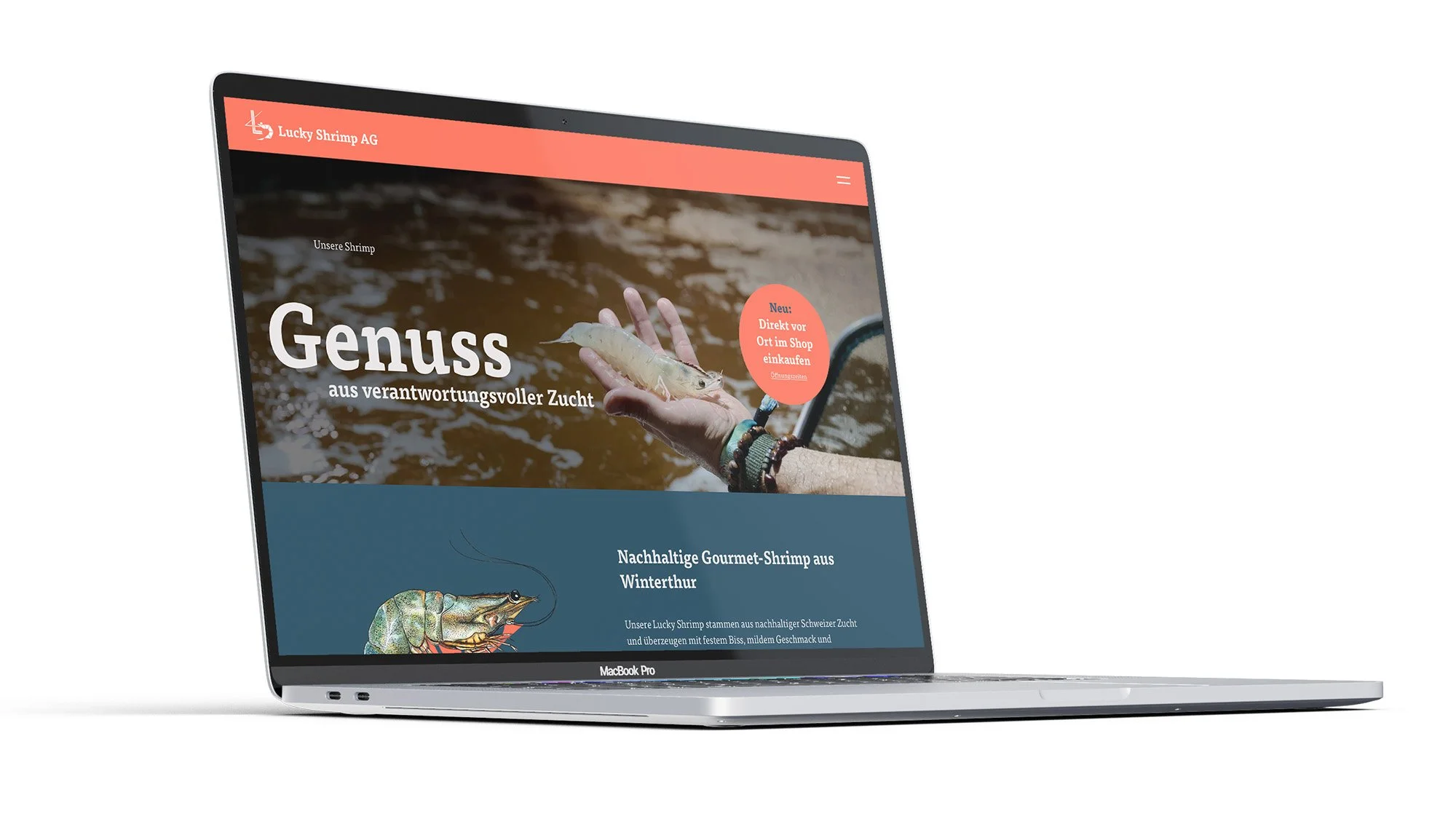 LS_WEB_MacBook.jpg