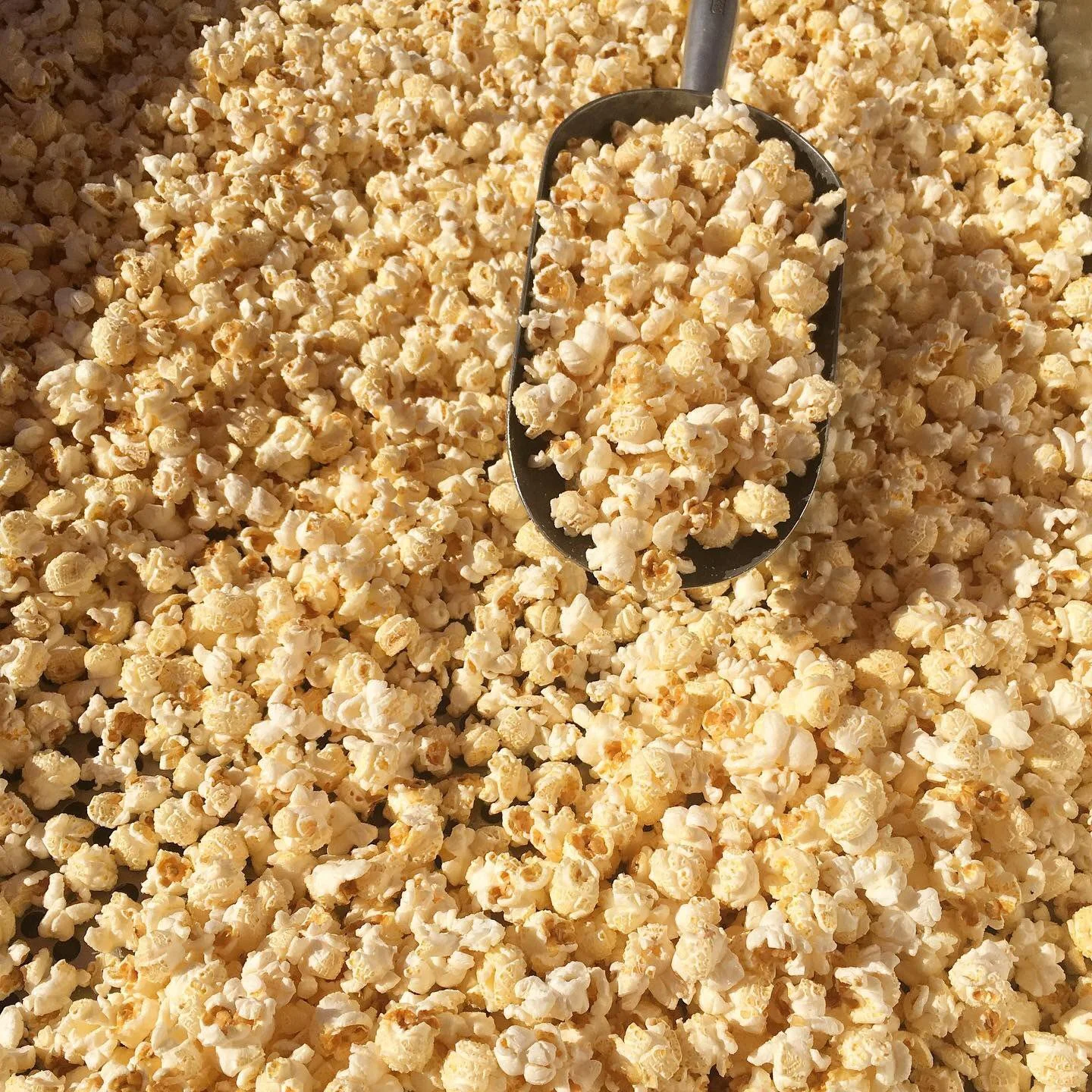 B&B Kettle Korn.jpg