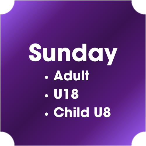 Day-2 Ticket types 2026.png